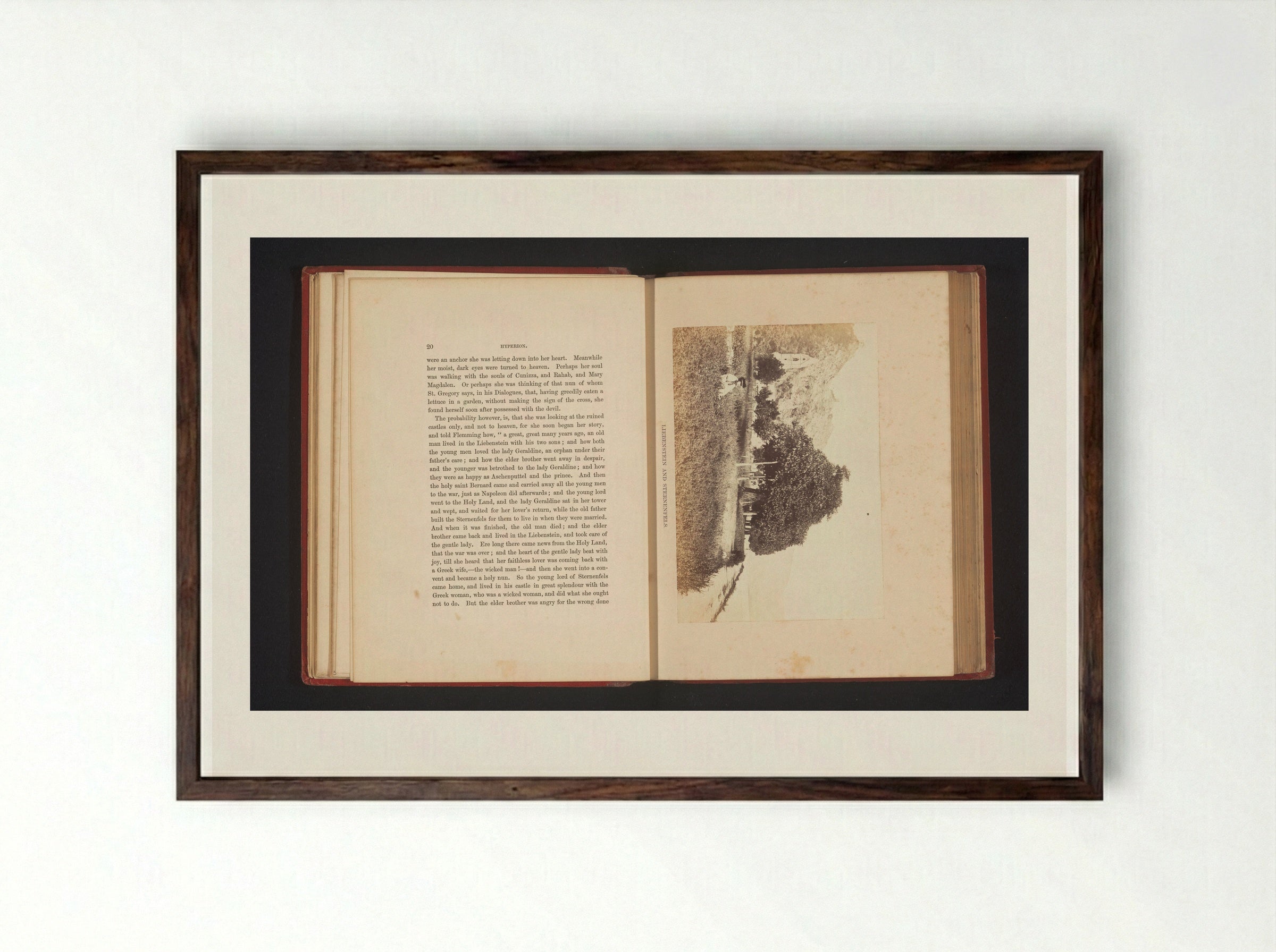Liebenstein and Sternenfels - Francis Frith - Framed Print Dark Wood