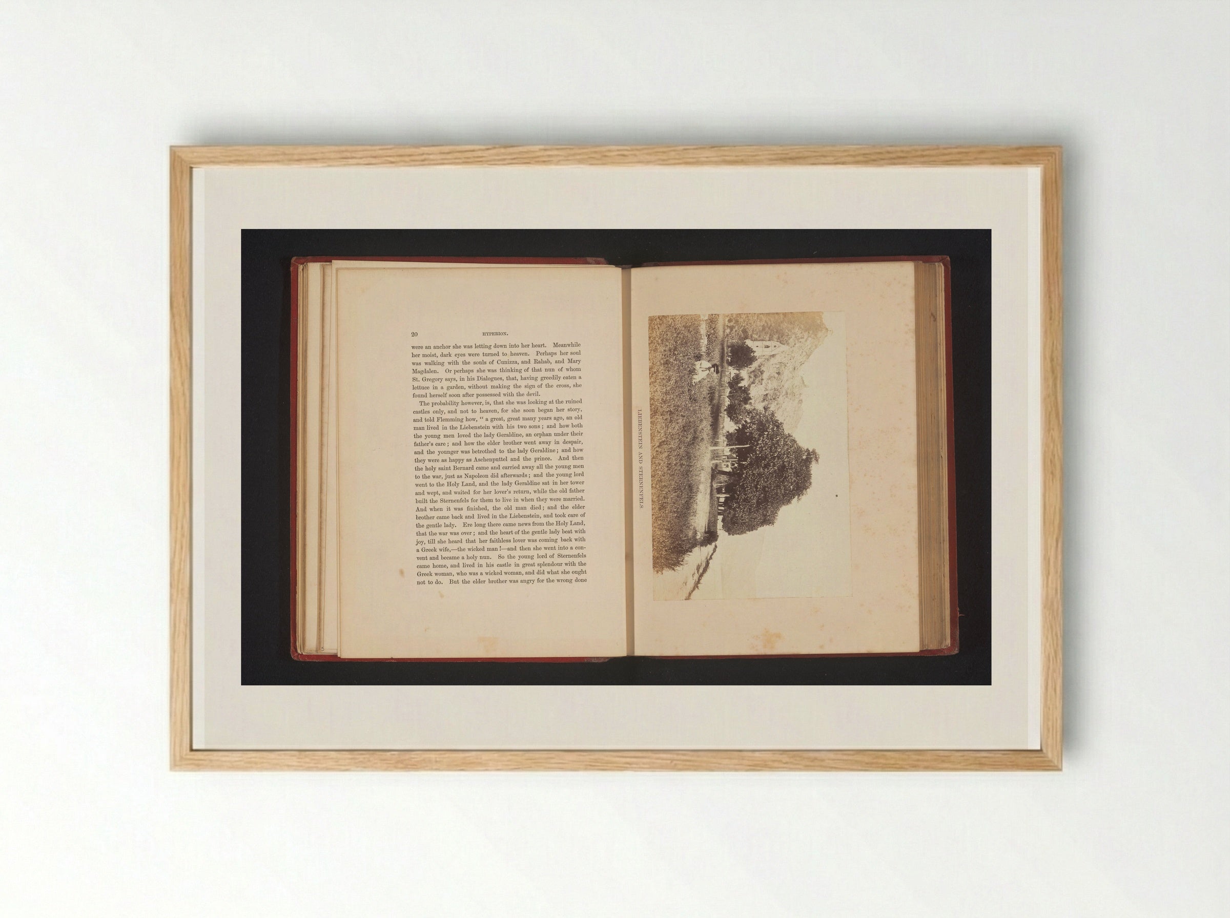 Liebenstein and Sternenfels - Francis Frith - Framed Print Wood