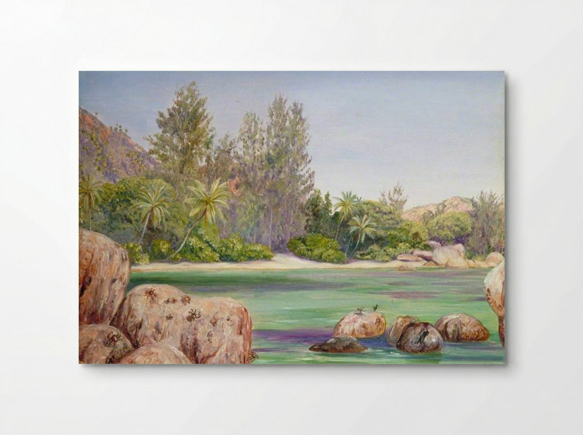 Life on the Coast of Praslin, Seychelles - Marianne North - Poster