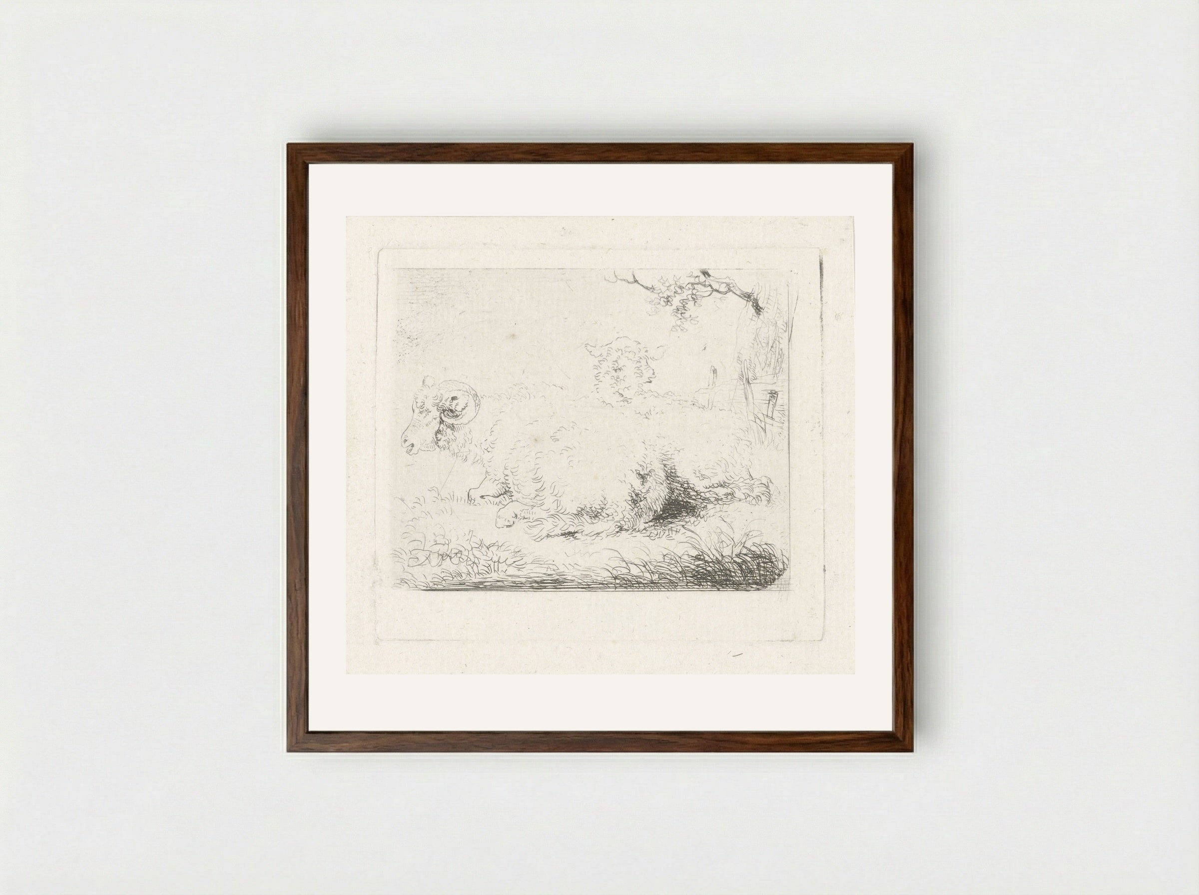 Liggend schaap en ram - Pieter Gerardus van Os - Framed Print Dark Wood