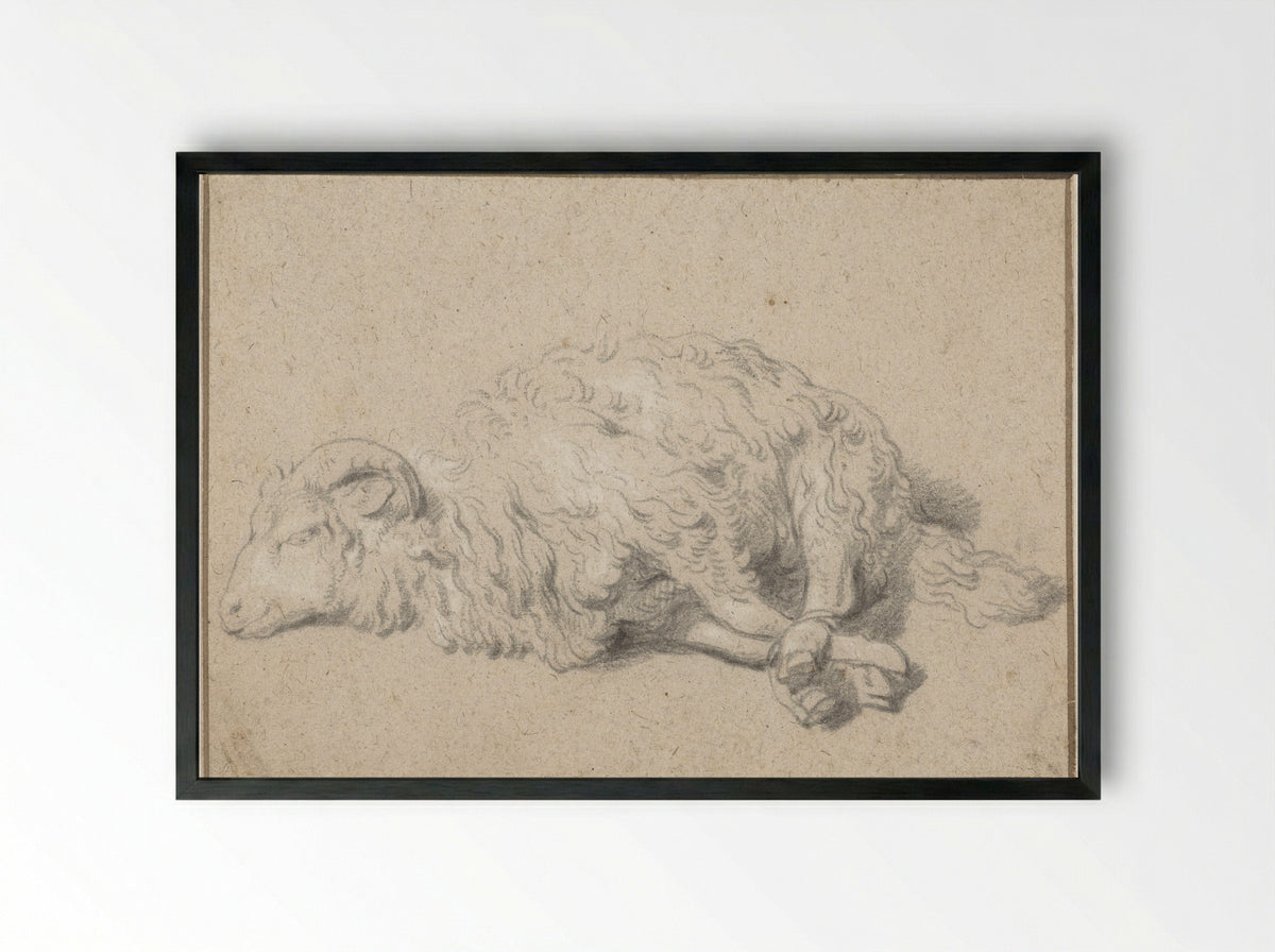 Liggend schaap met vastgebonden poten - Jan Baptist Weenix - Framed Print Black