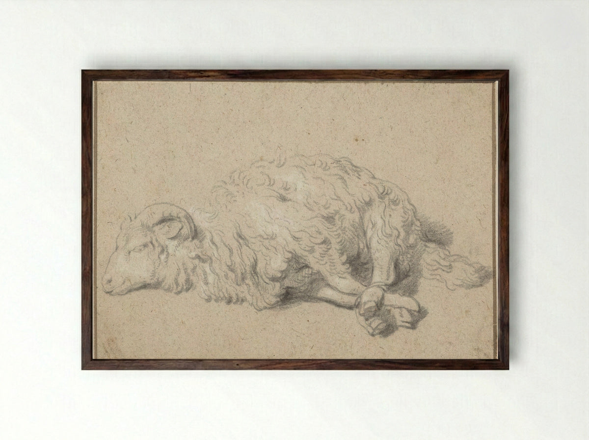 Liggend schaap met vastgebonden poten - Jan Baptist Weenix - Framed Print Dark Wood