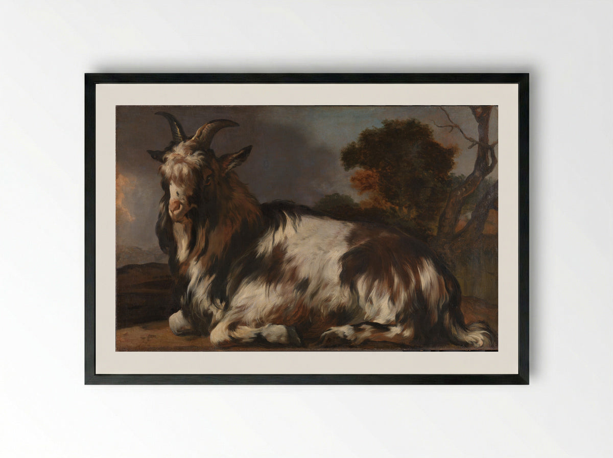 Liggende bok (Reclining Goat) - Jan Baptist Weenix - Framed Print Black