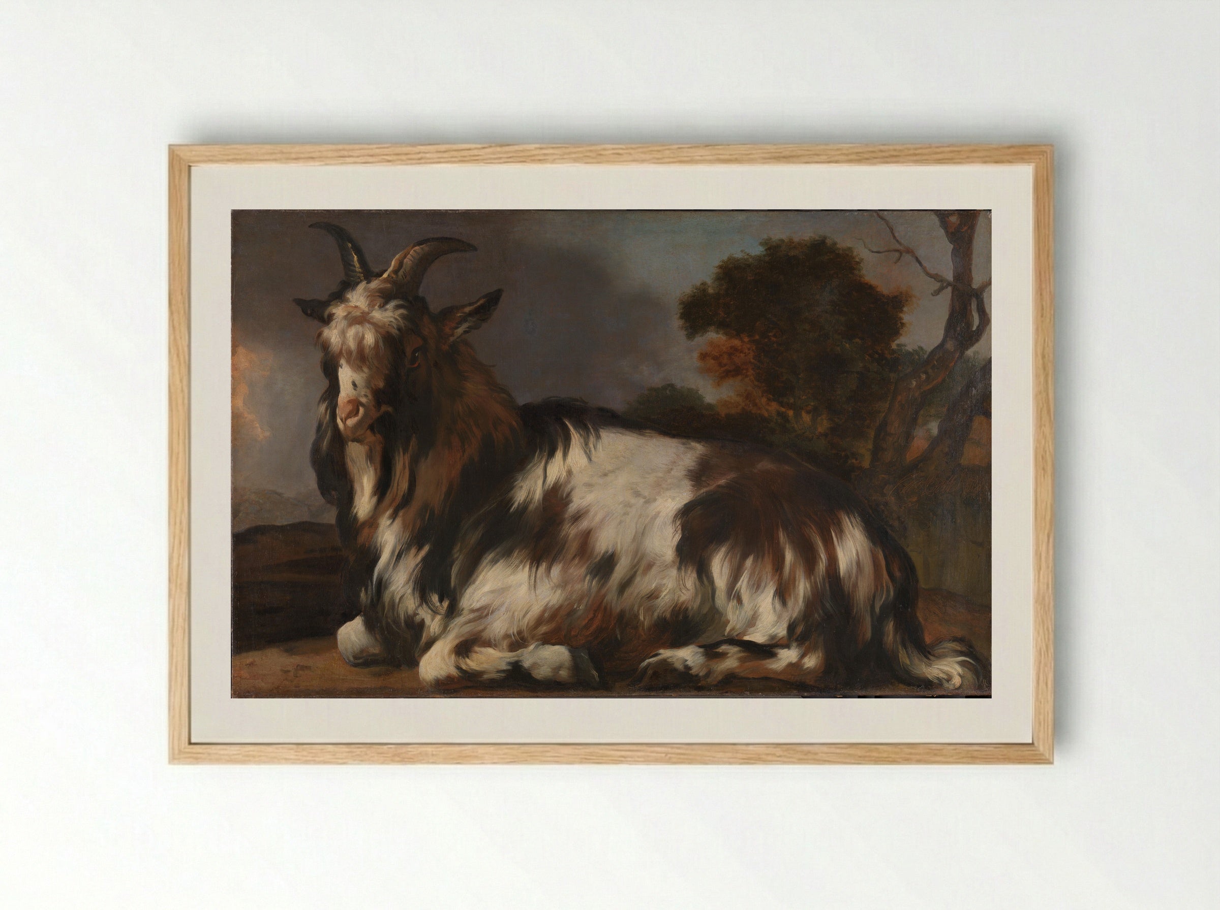 Liggende bok (Reclining Goat) - Jan Baptist Weenix - Framed Print Wood