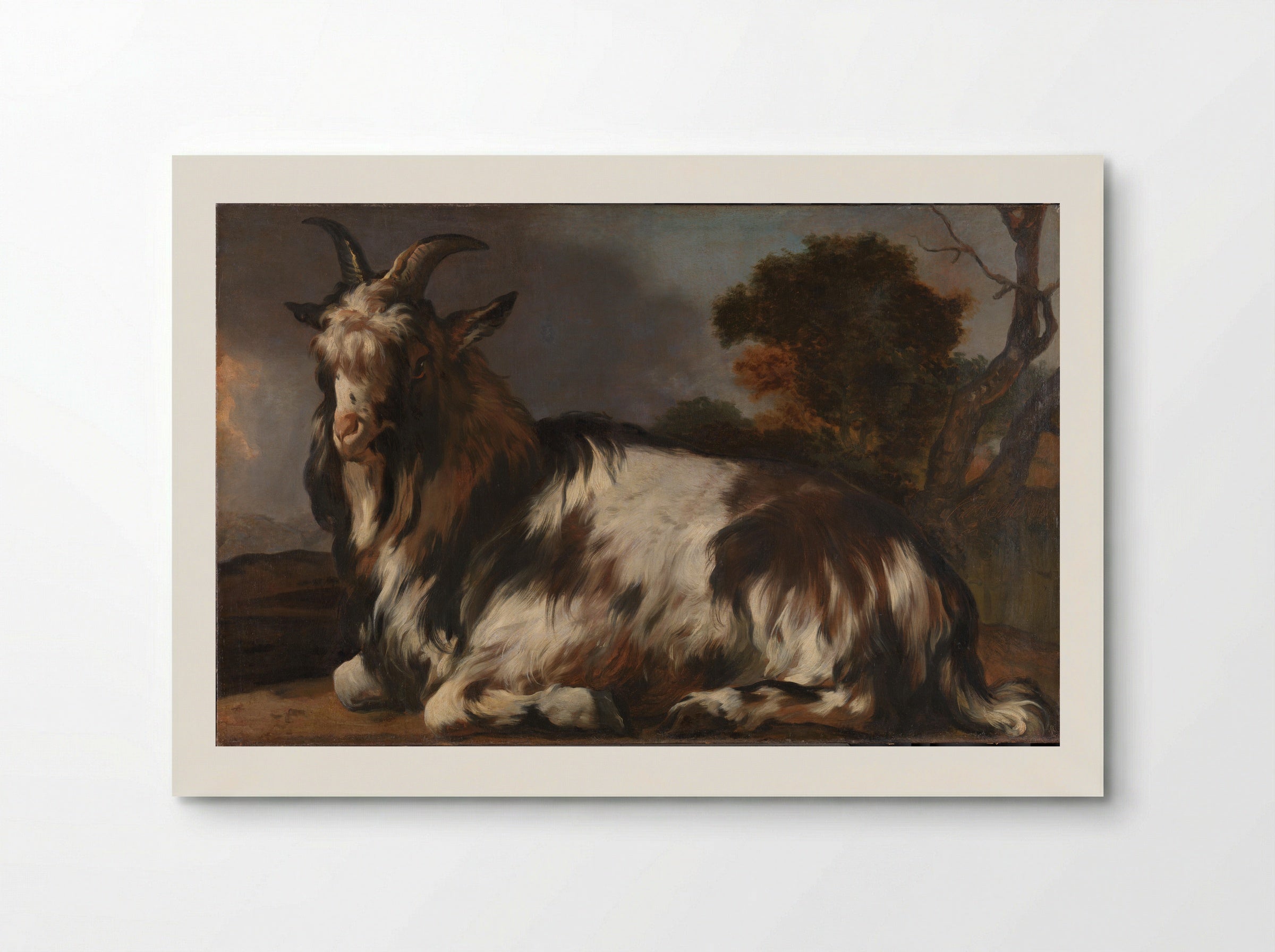 Liggende bok (Reclining Goat) - Jan Baptist Weenix - Poster