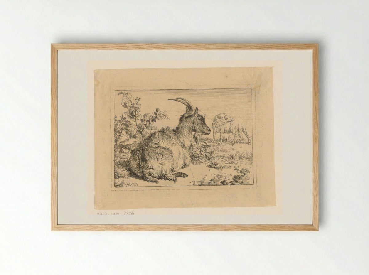 Liggende geit (Reclining Goat) - Benjamin Phelps Gibbon - Framed Print Wood