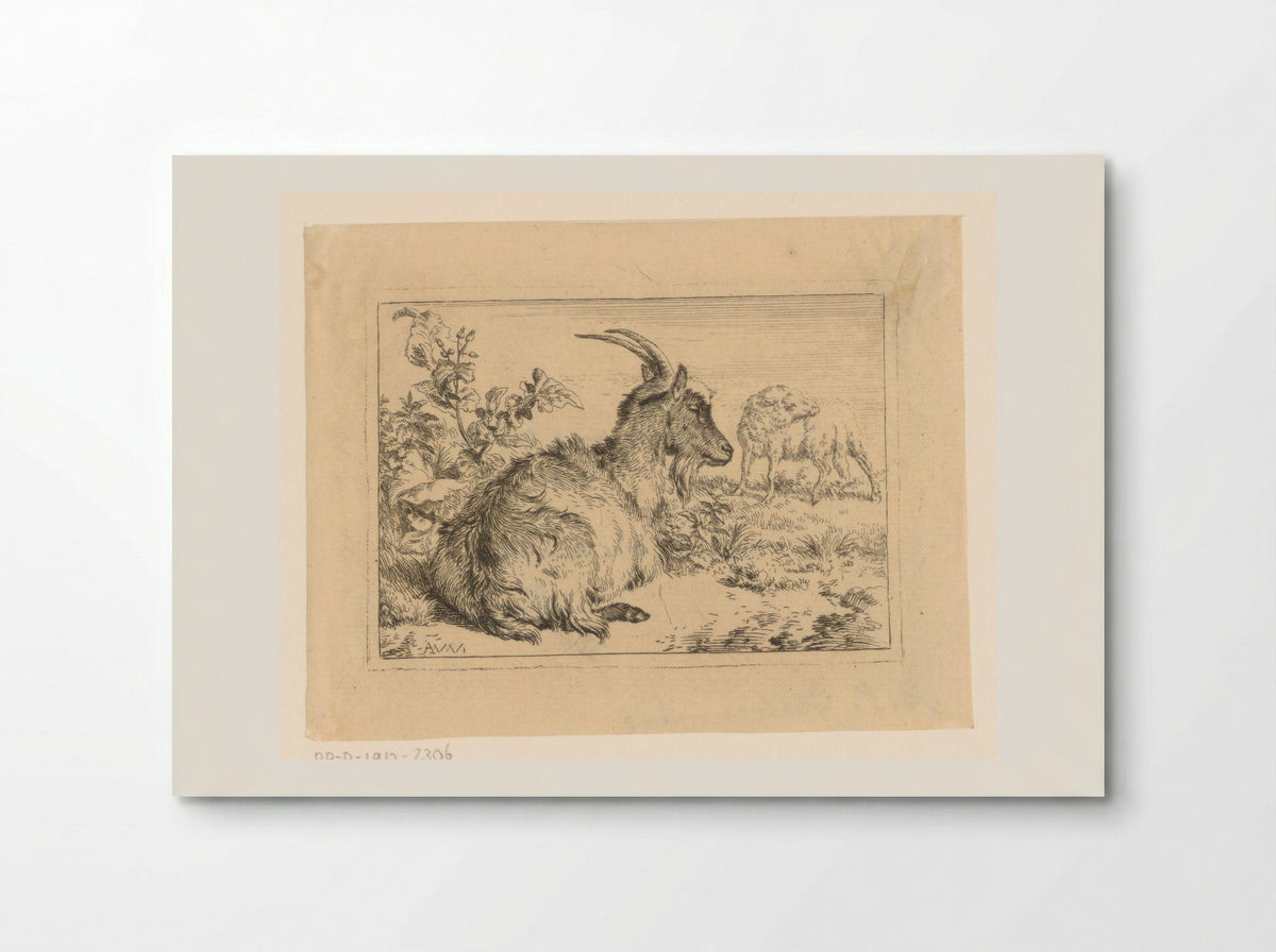 Liggende geit (Reclining Goat) - Benjamin Phelps Gibbon - Poster