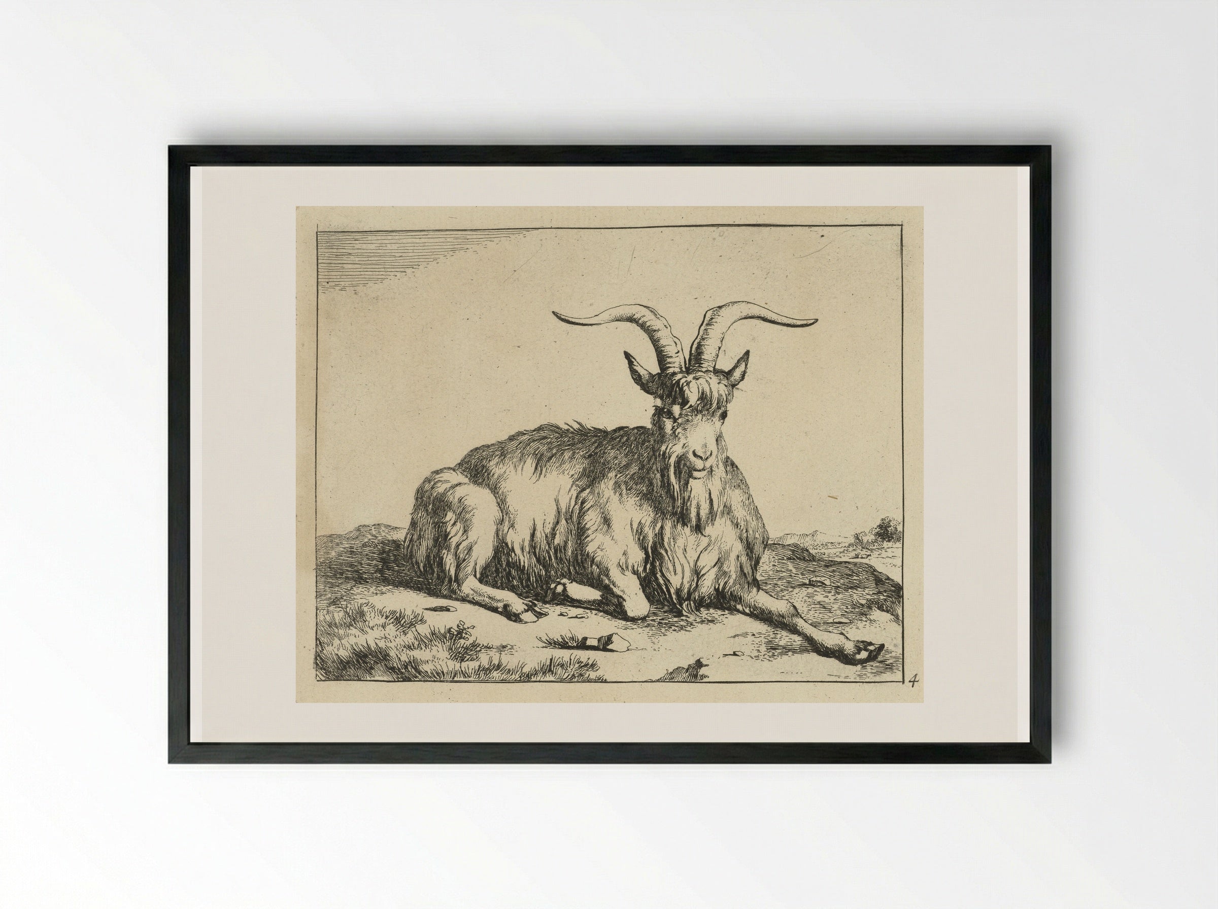 Liggende geit de voorpoot uitgestrekt - Marcus de Bye - Framed Print Black