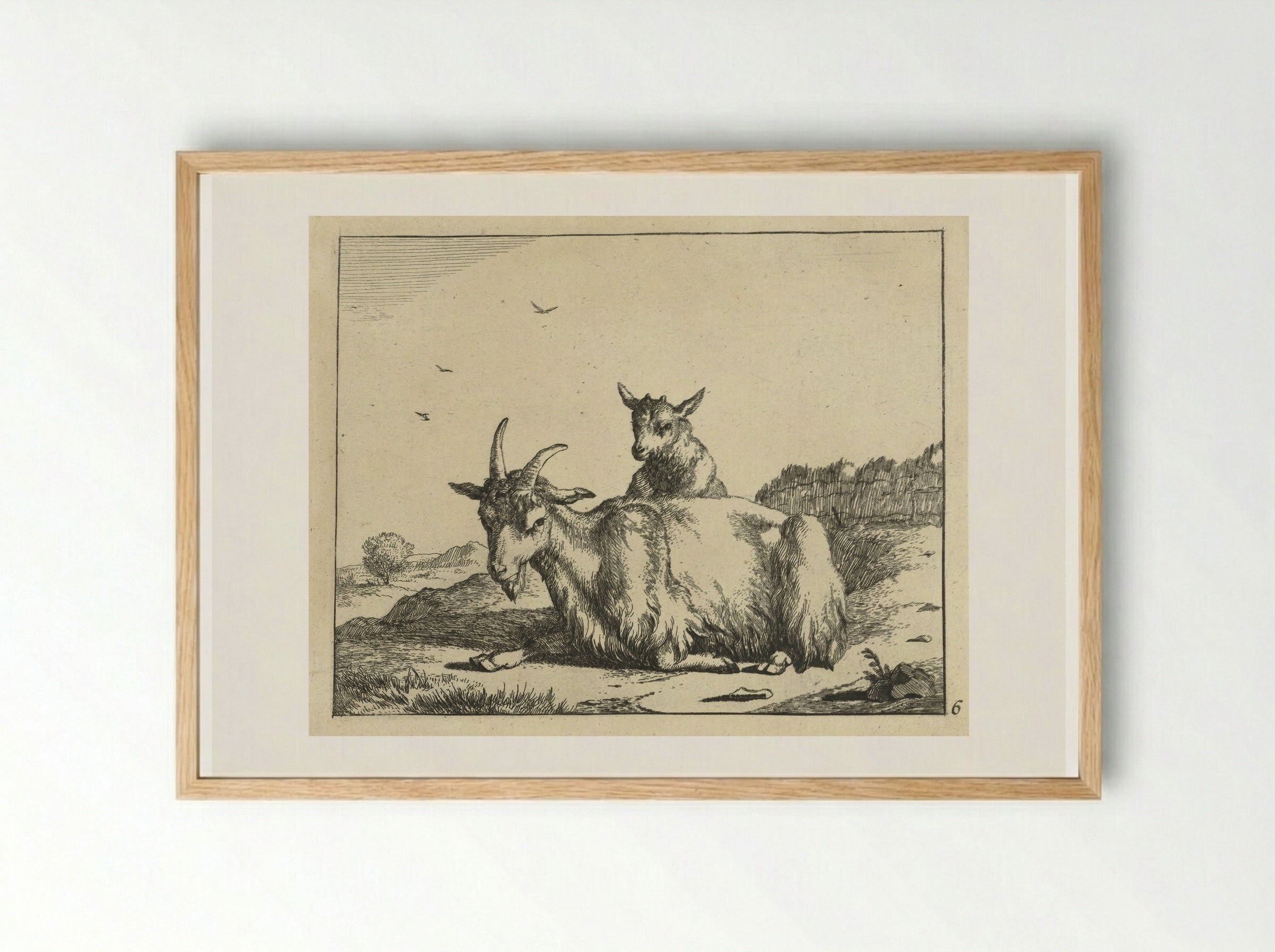 Liggende geit met lam - Marcus de Bye - Framed Print Wood