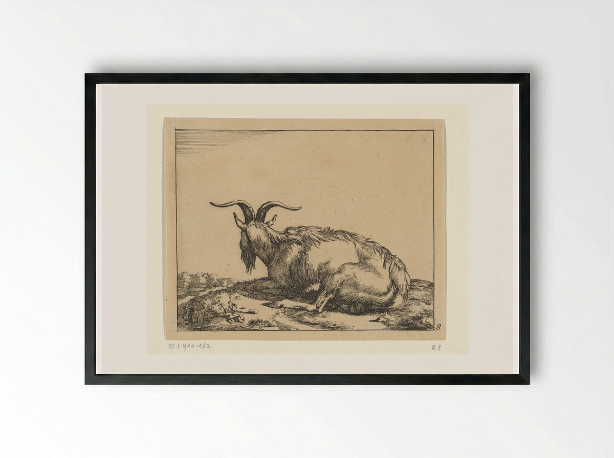 Liggende geit van achter gezien - Marcus de Bye - Framed Print Black