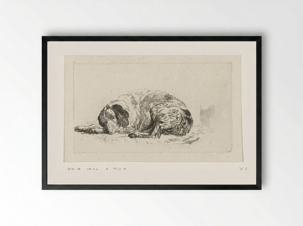 Liggende hond (Lying Dog) - Pieter Gerardus van Os - Framed Print Black