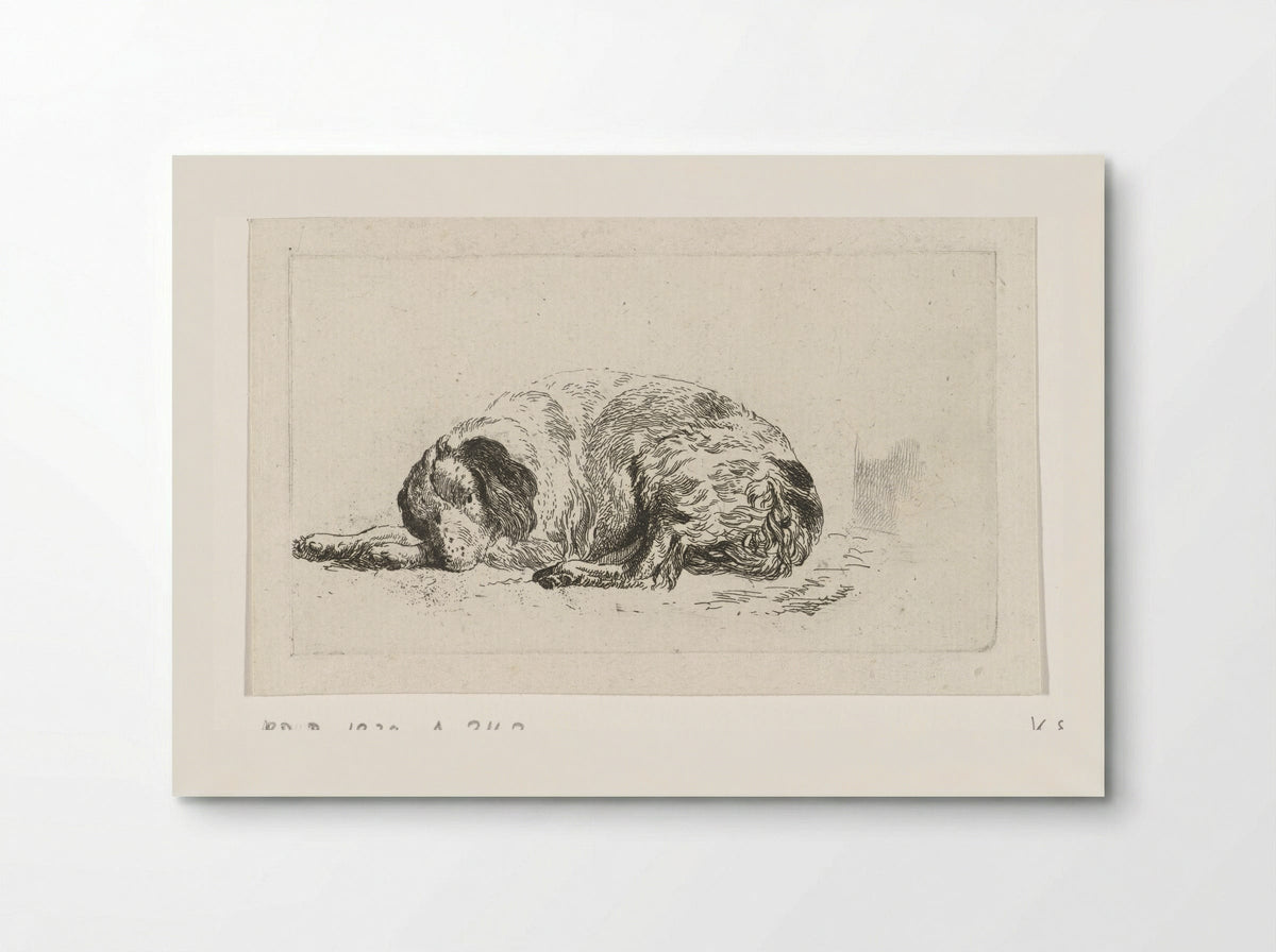 Liggende hond (Lying Dog) - Pieter Gerardus van Os - Poster