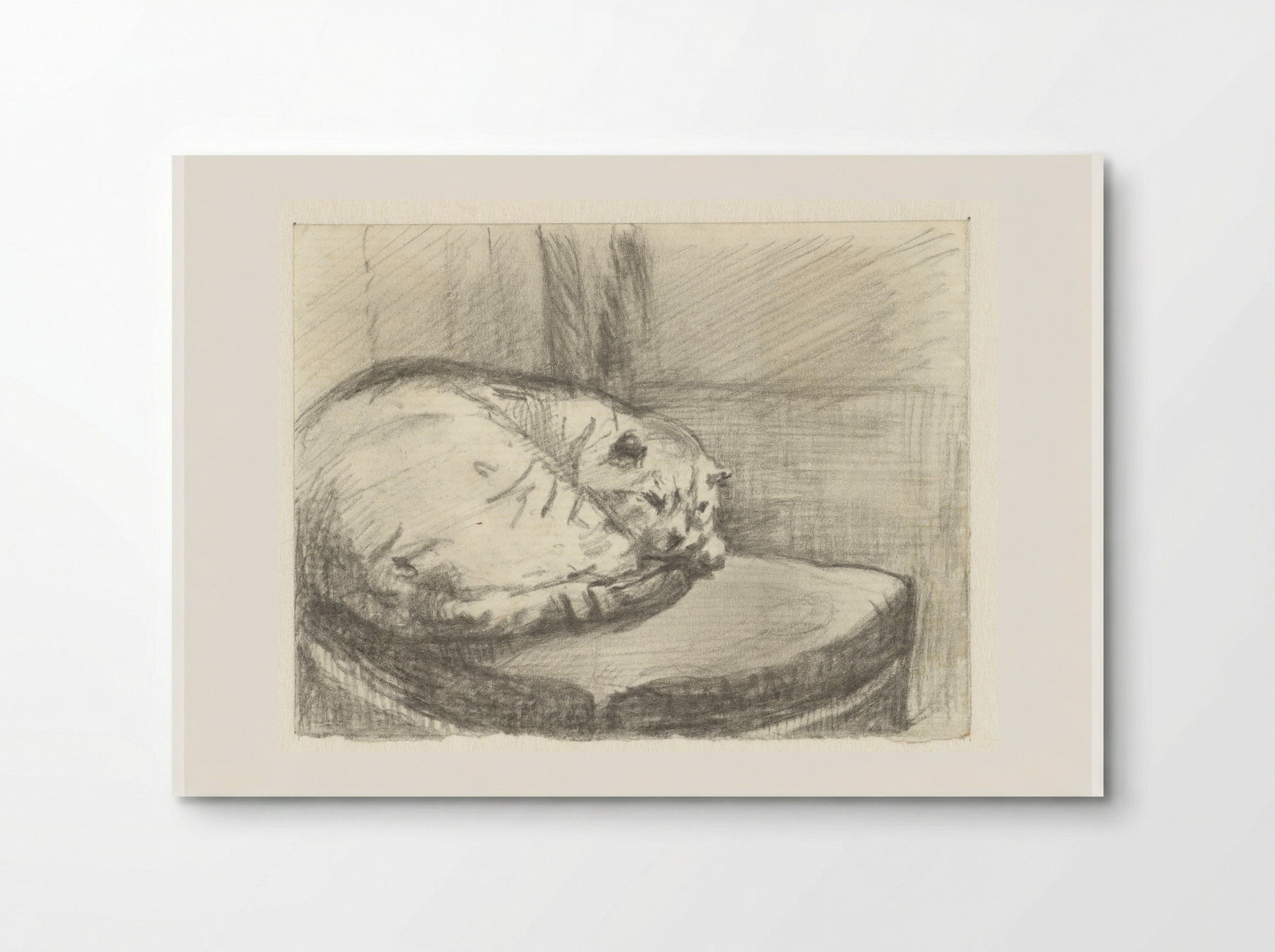 Liggende kat, op een stoel - Guillaume Anne van der Brugghen - Poster