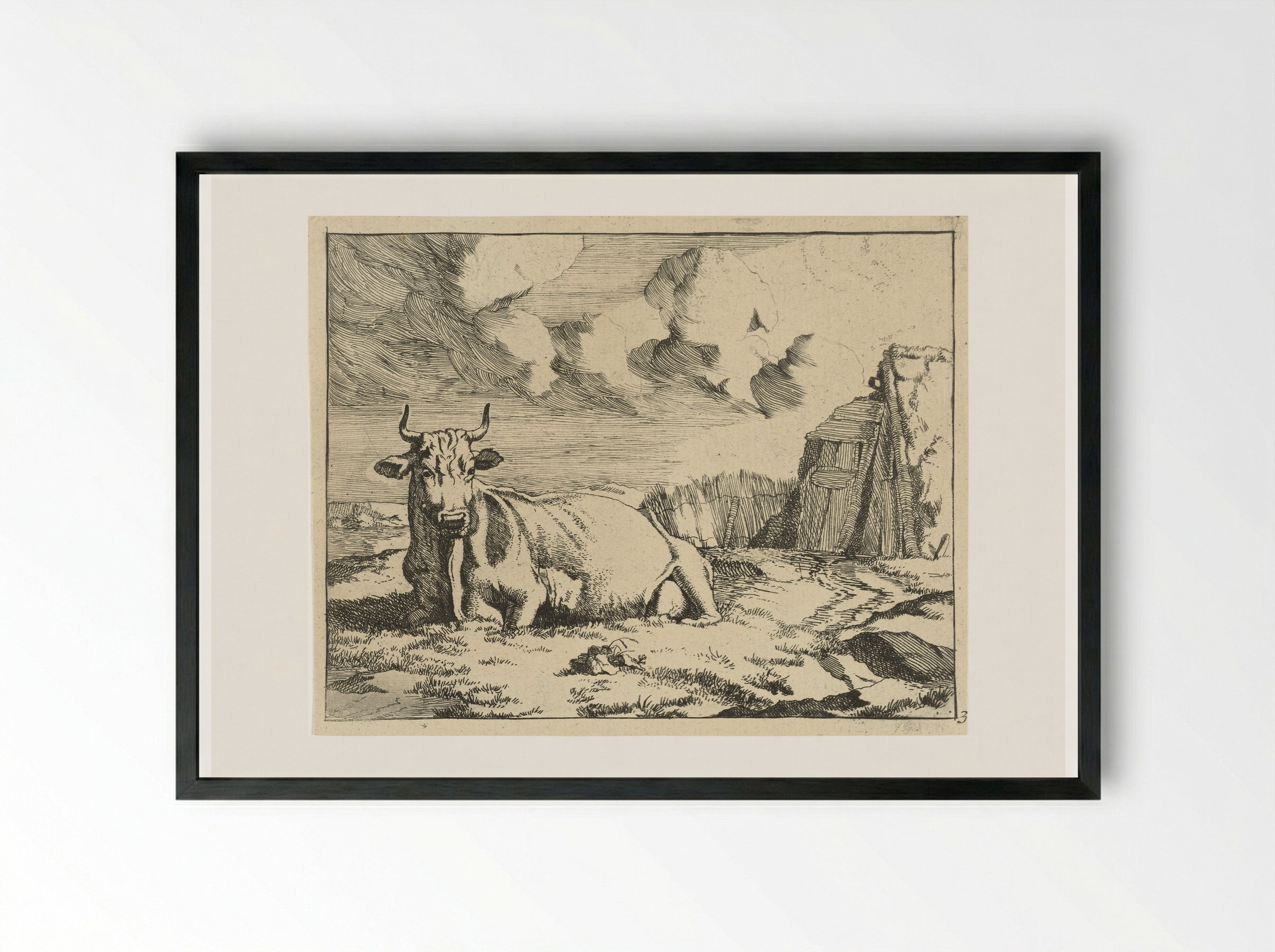 Liggende koe (Recumbent Cow) - Marcus de Bye - Framed Print Black
