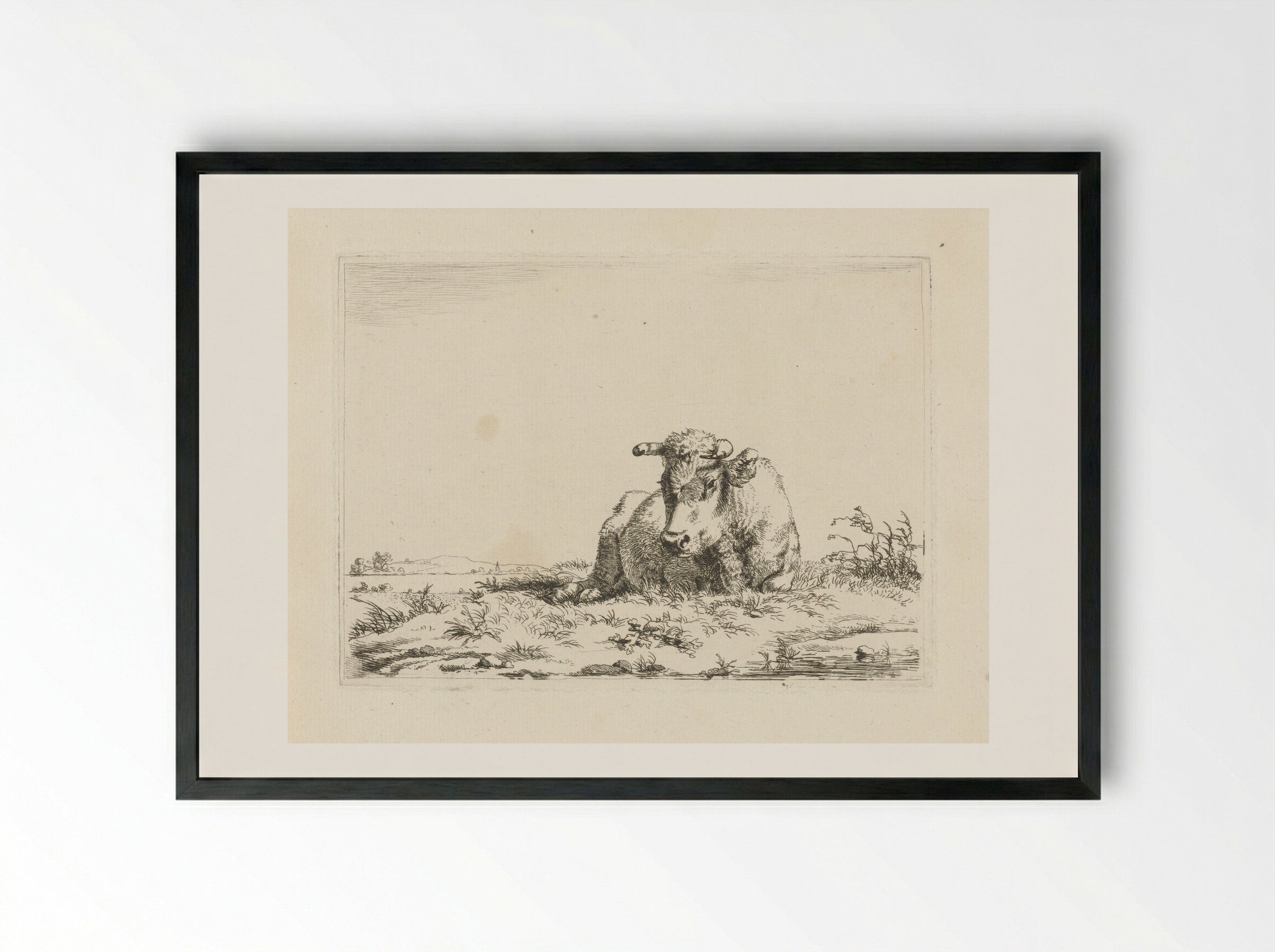 Liggende koe (Recumbent Cow) - Pieter Gerardus van Os - Framed Print Black