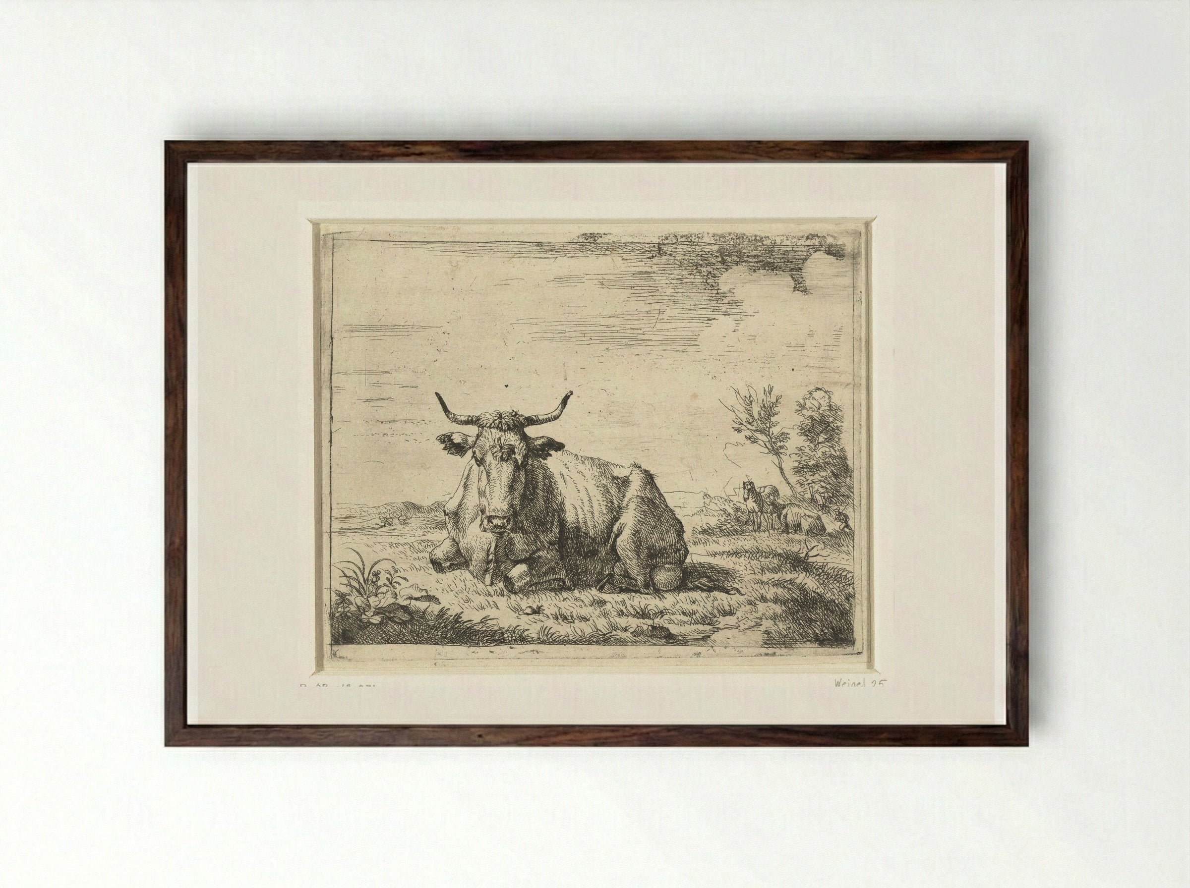 Liggende koe (Recumbent Cow) - Adriaen van de Velde - Framed Print Dark Wood