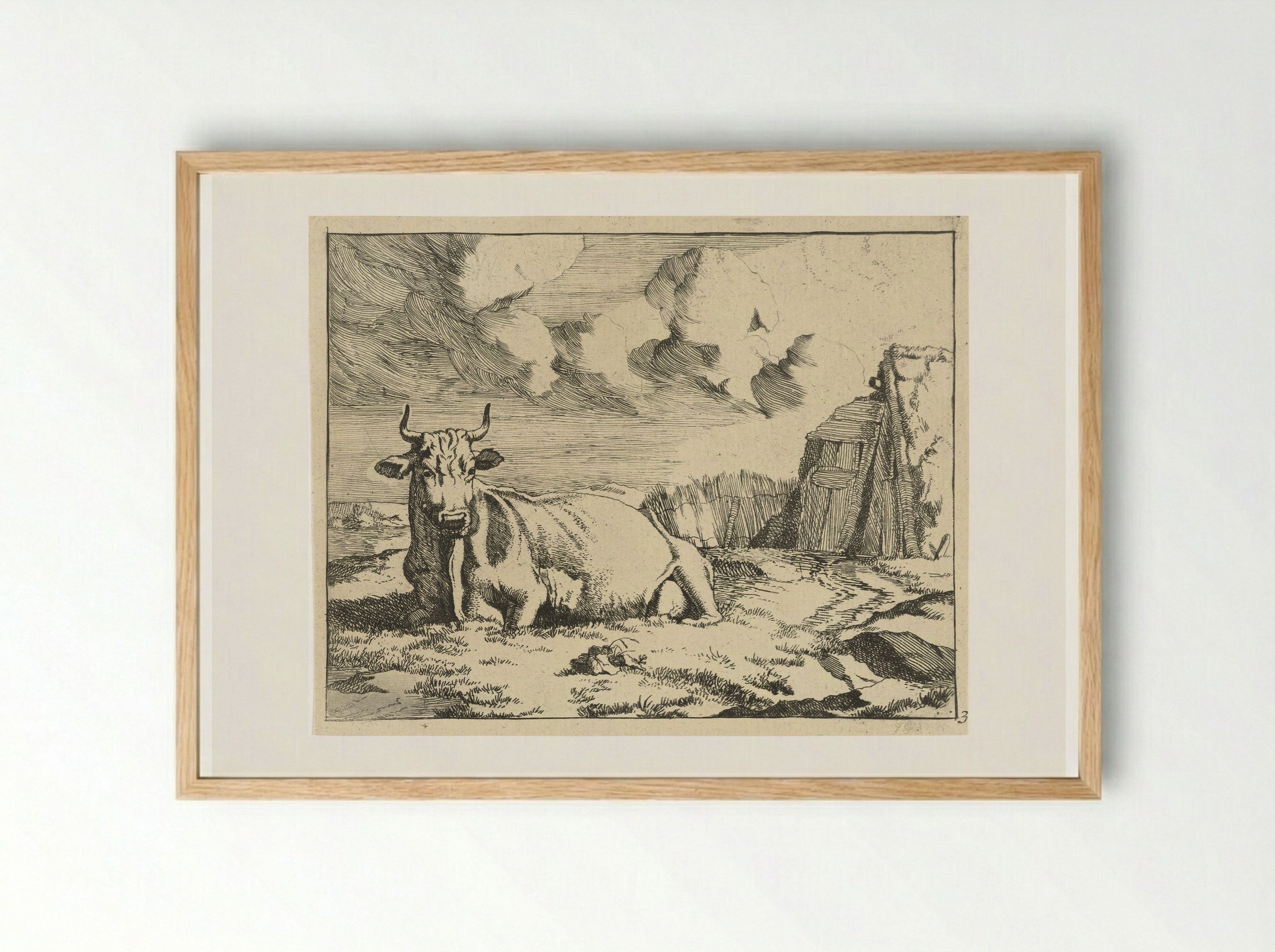 Liggende koe (Recumbent Cow) - Marcus de Bye - Framed Print Wood