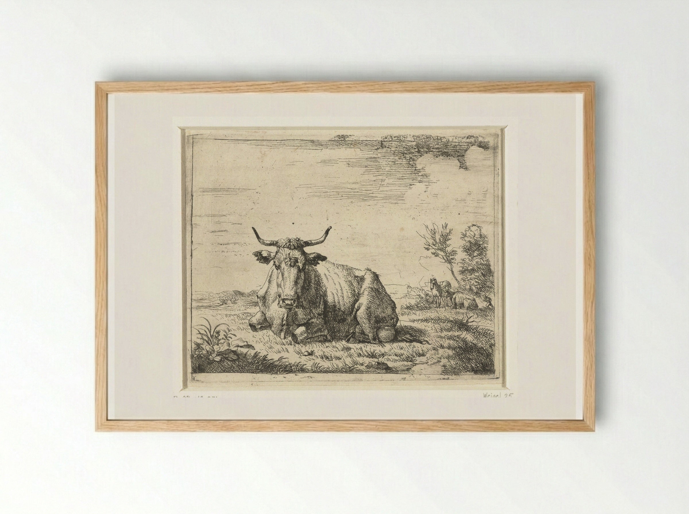 Liggende koe (Recumbent Cow) - Adriaen van de Velde - Framed Print Wood