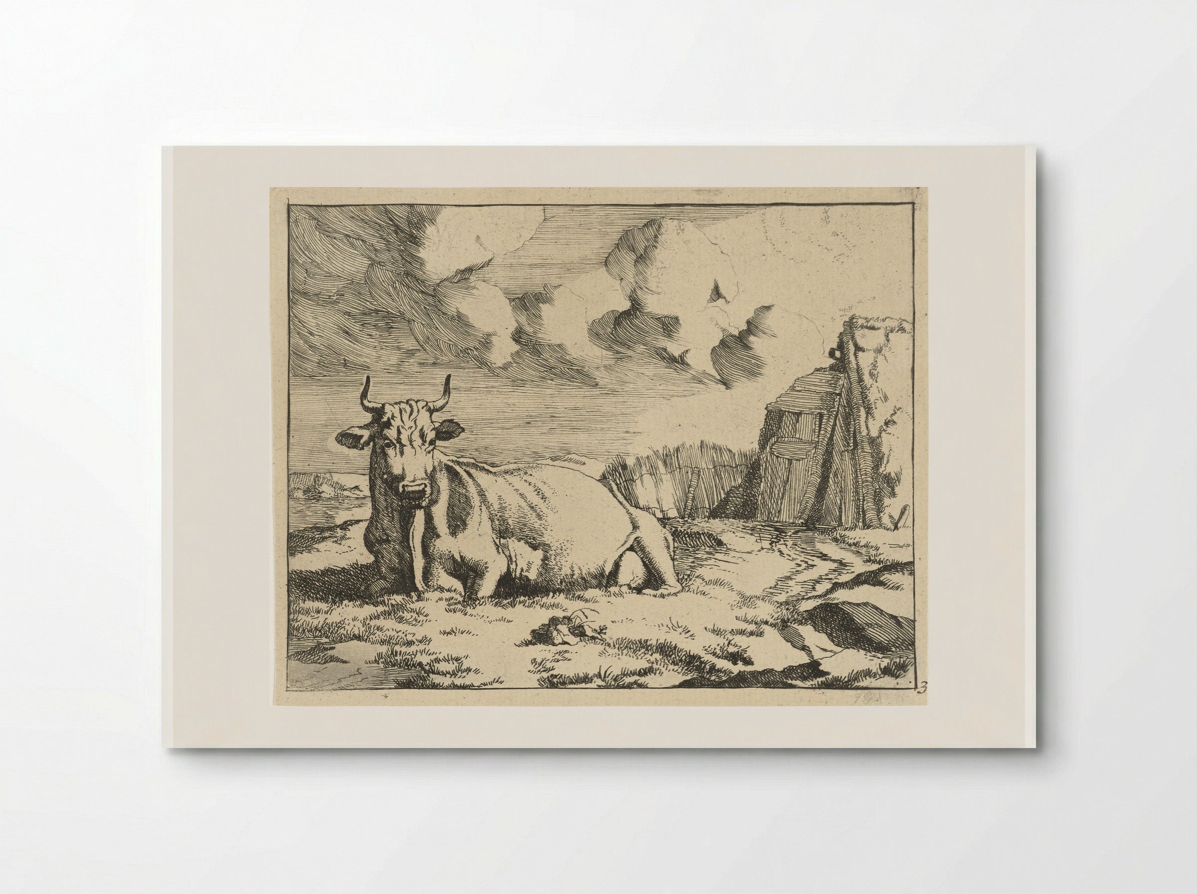 Liggende koe (Recumbent Cow) - Marcus de Bye - Poster