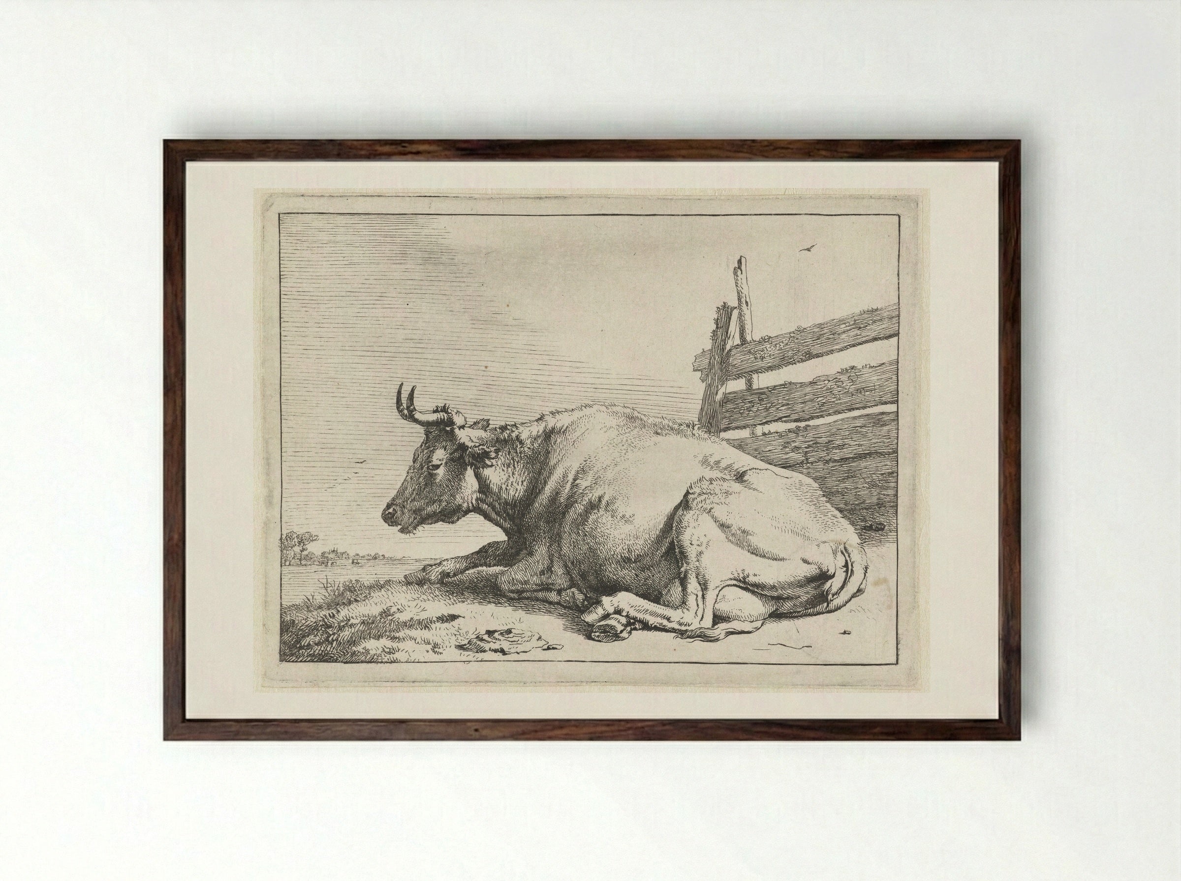 Liggende koe bij een hek - Paulus Potter - Framed Print Dark Wood