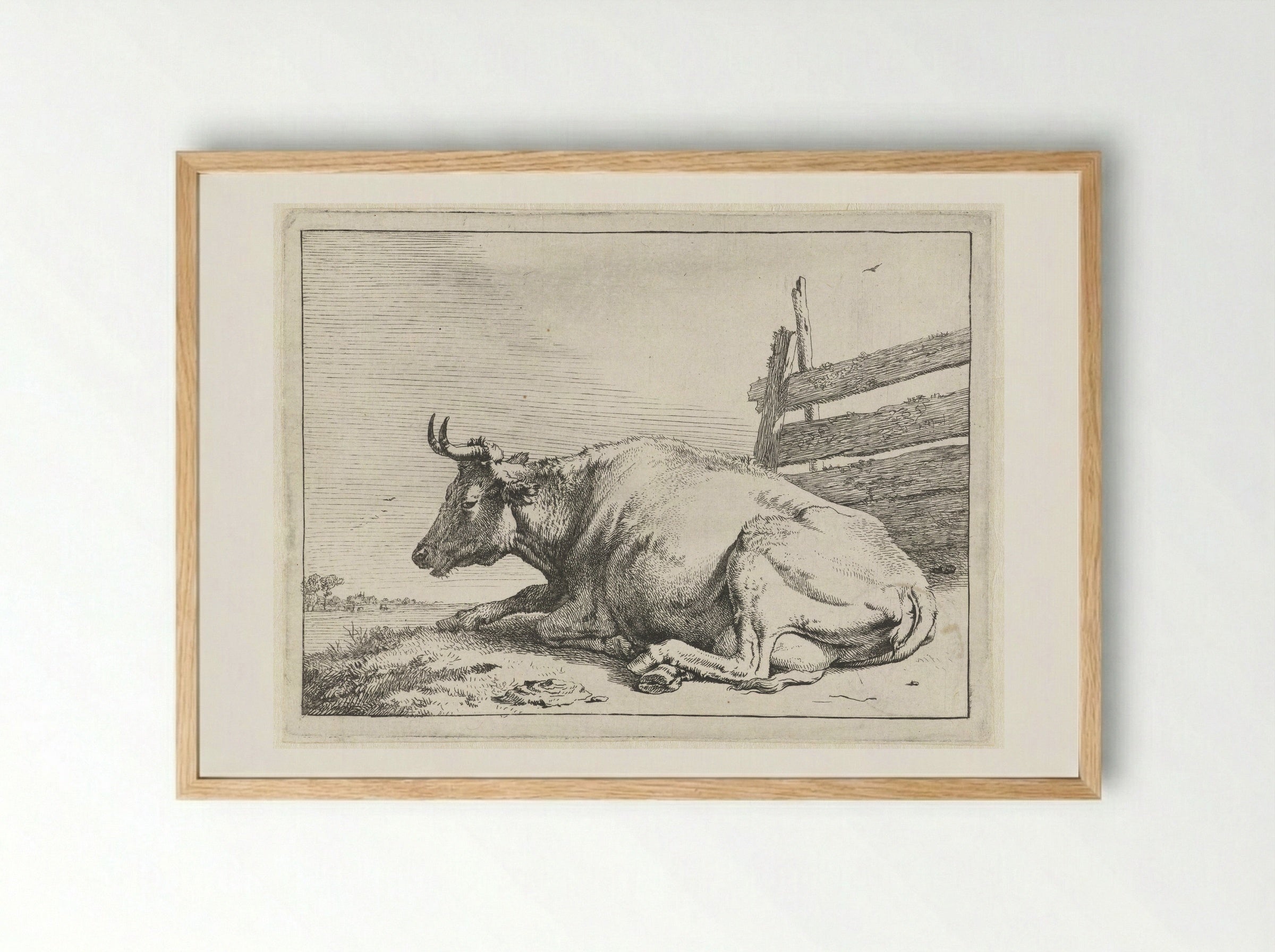 Liggende koe bij een hek - Paulus Potter - Framed Print Wood