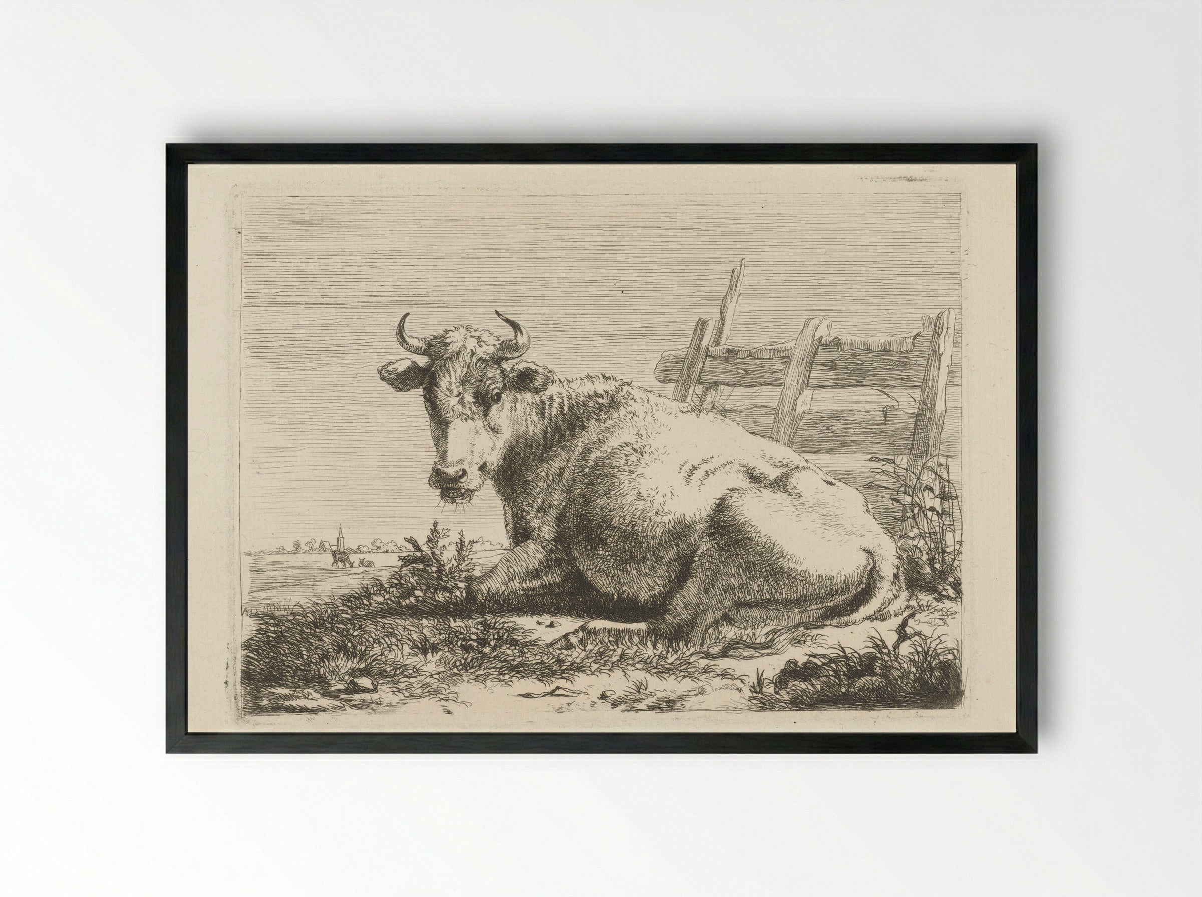 Liggende koe bij een schutting - Pieter Gerardus van Os - Framed Print Black