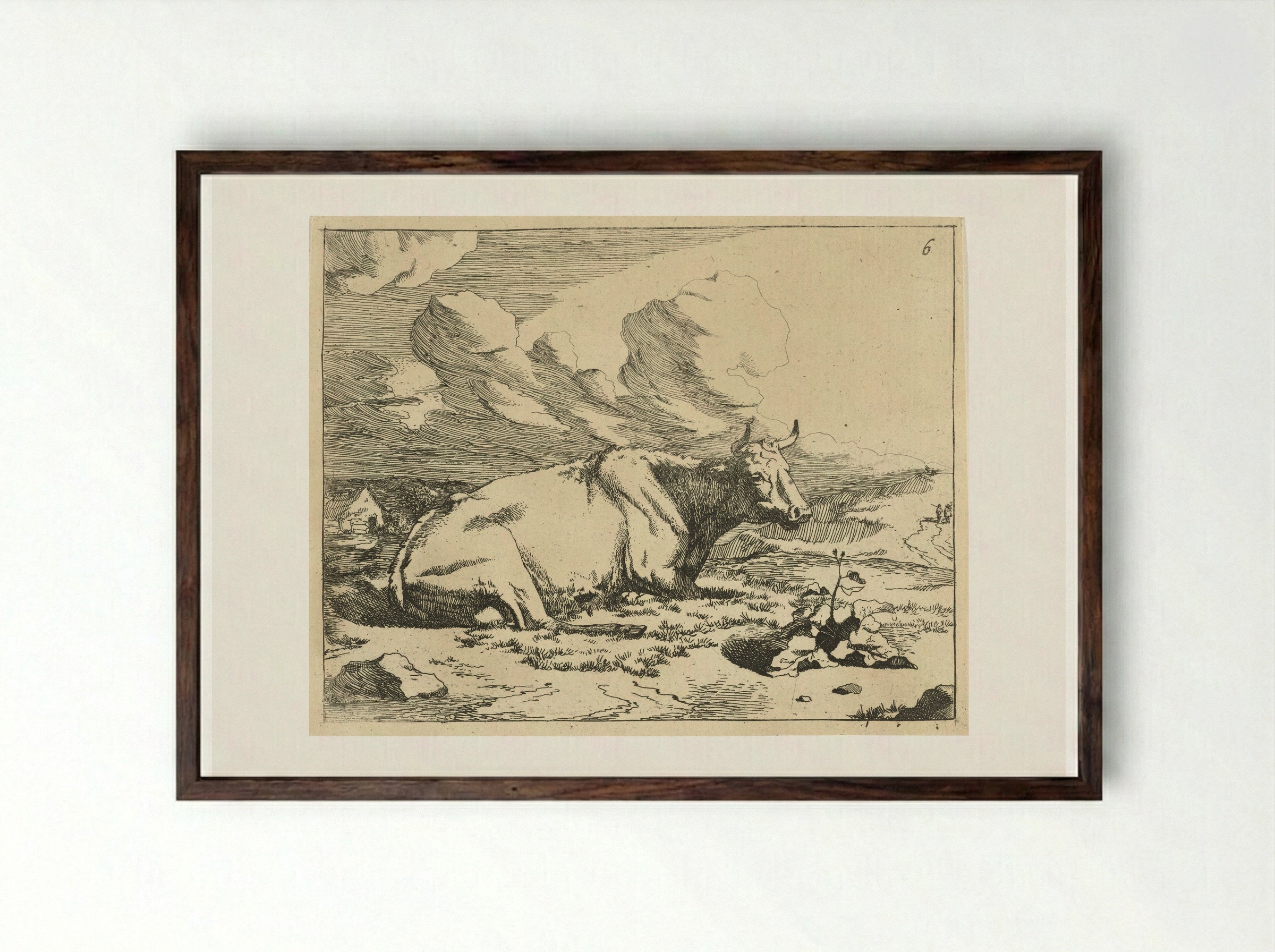 Liggende koe, en profil - Marcus de Bye - Framed Print Dark Wood