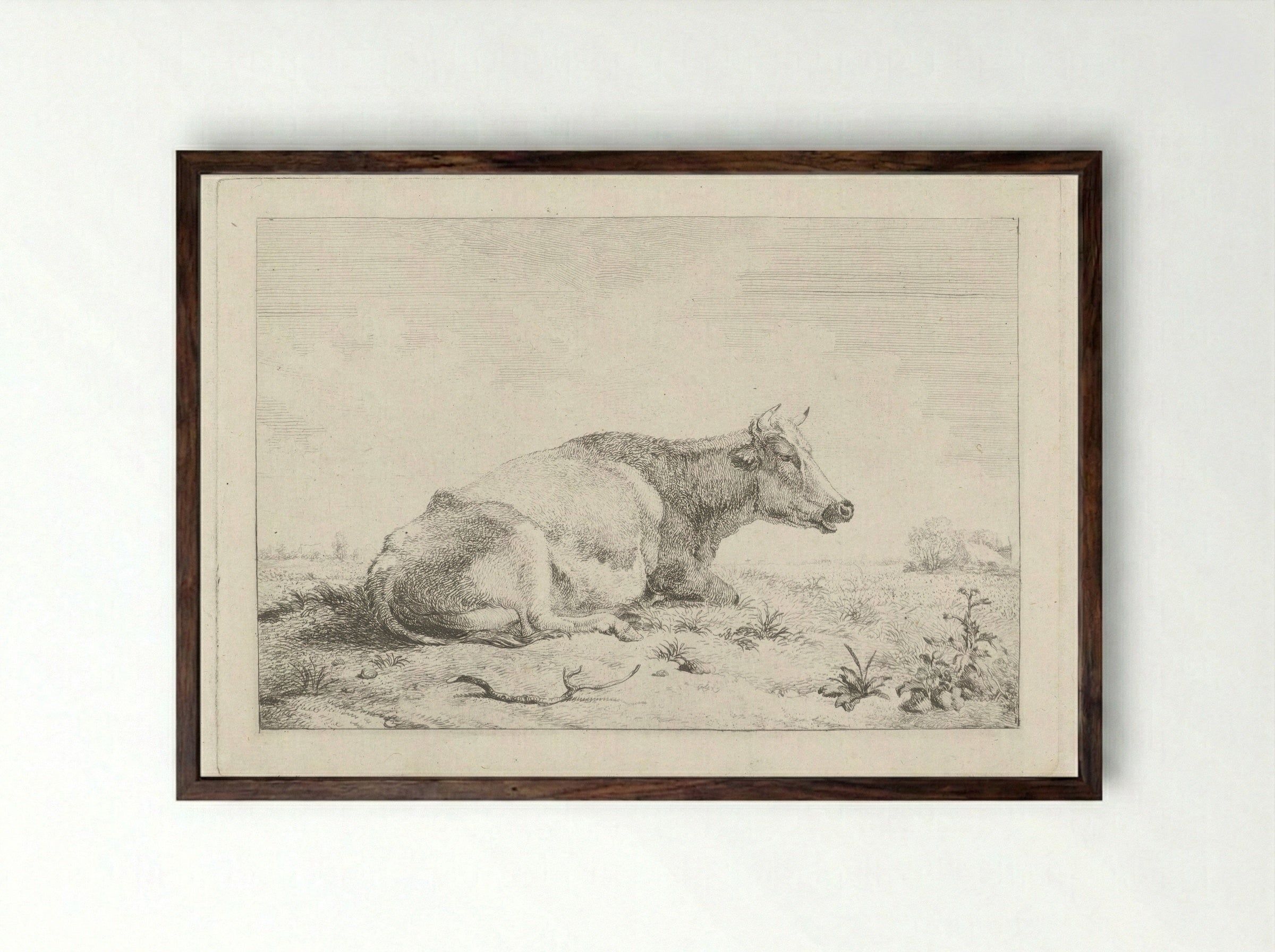 Liggende koe met distel - Pieter Gerardus van Os - Framed Print Dark Wood