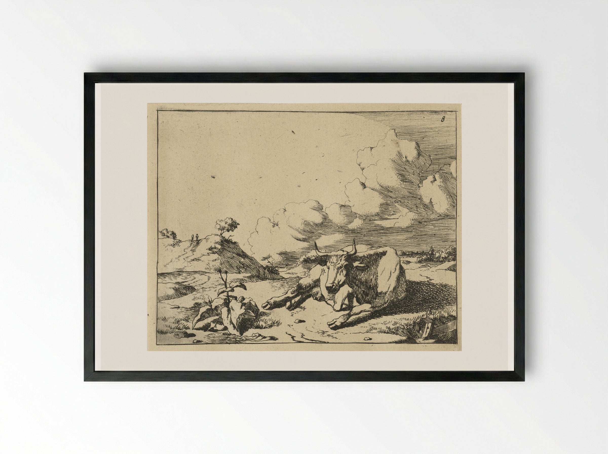 Liggende koe van voren gezien - Marcus de Bye - Framed Print Black