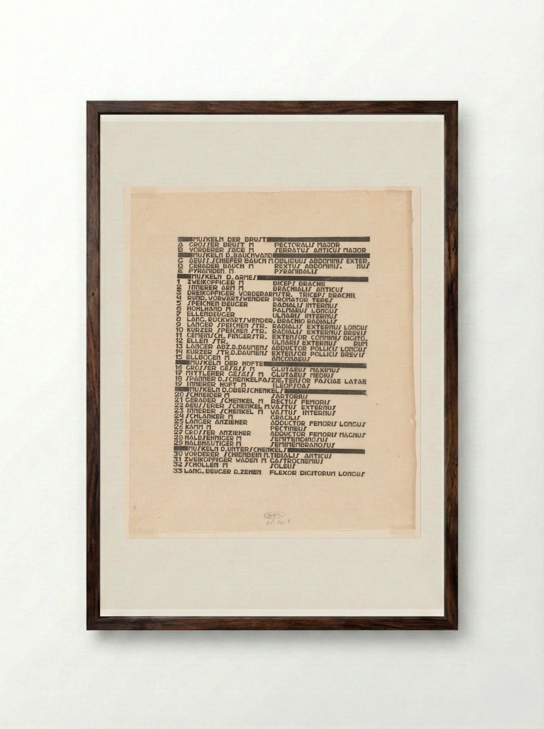 Lijst van borst-, arm- en beenspieren in Duits en Latijn - Reijer Stolk - Framed Print Dark Wood