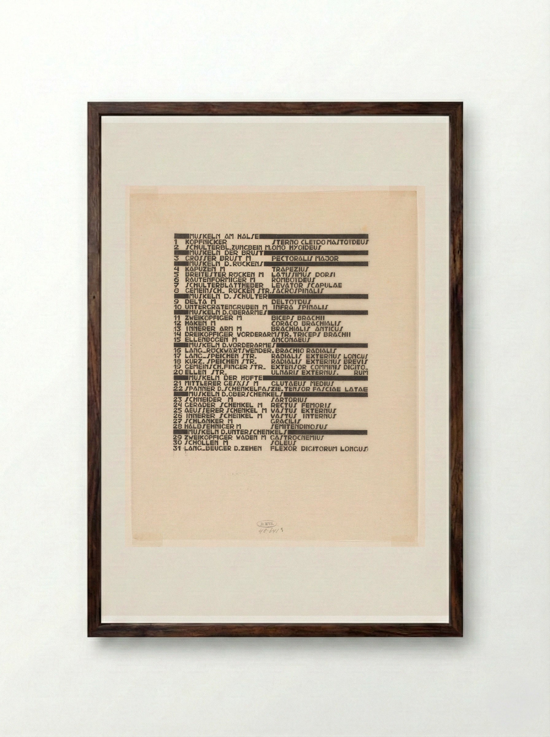 Lijst van hals-, arm- en zijspieren in Duits en Latijn - Reijer Stolk - Framed Print Dark Wood