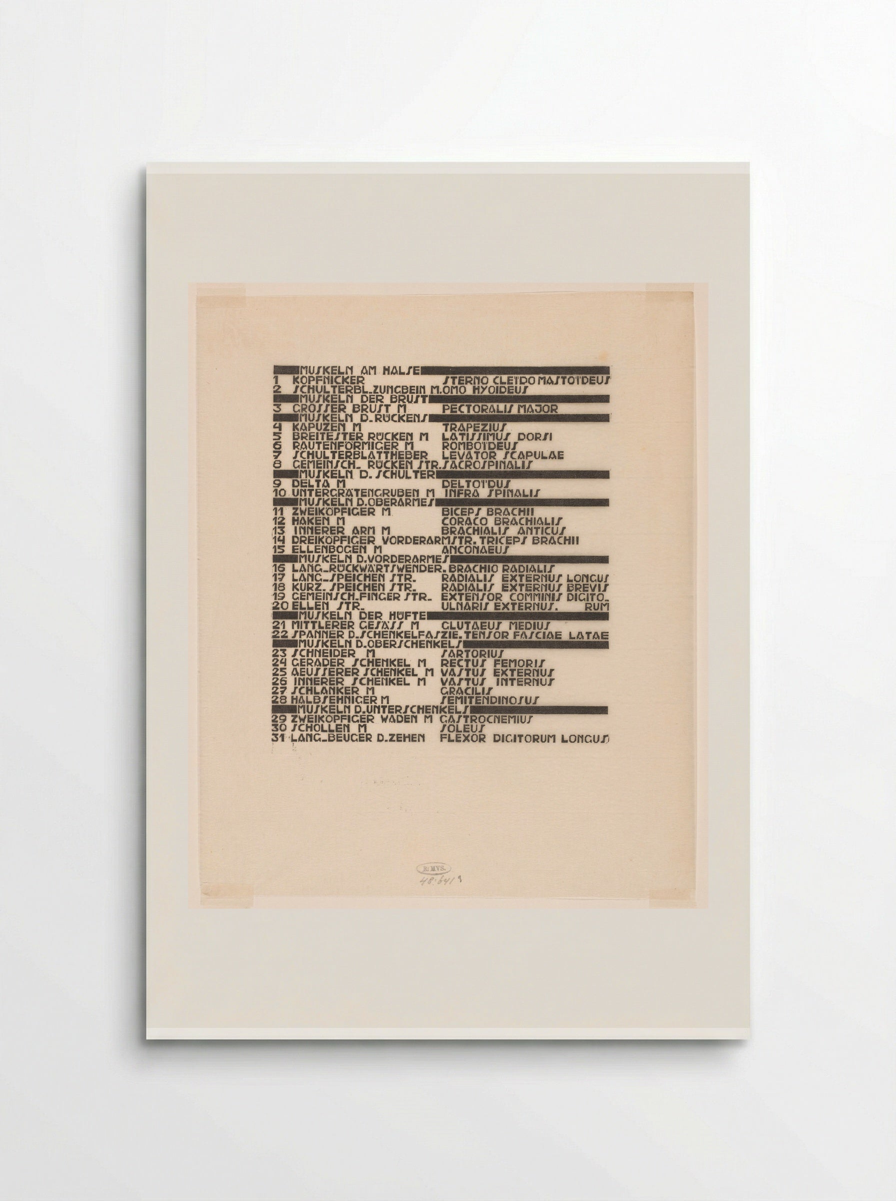 Lijst van hals-, arm- en zijspieren in Duits en Latijn - Reijer Stolk - Poster