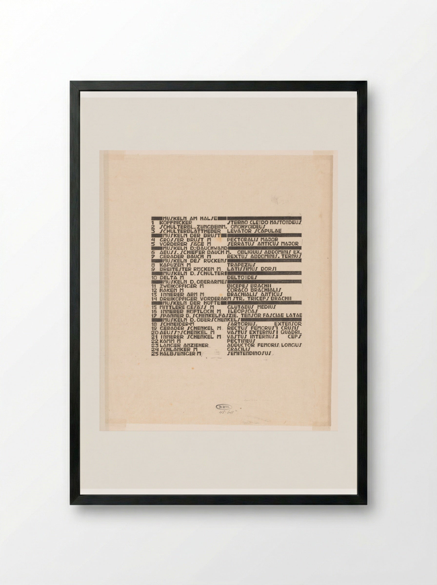 Lijst van hals-, buik- en bovenbeenspieren in Duits en Latijn - Reijer Stolk - Framed Print Black