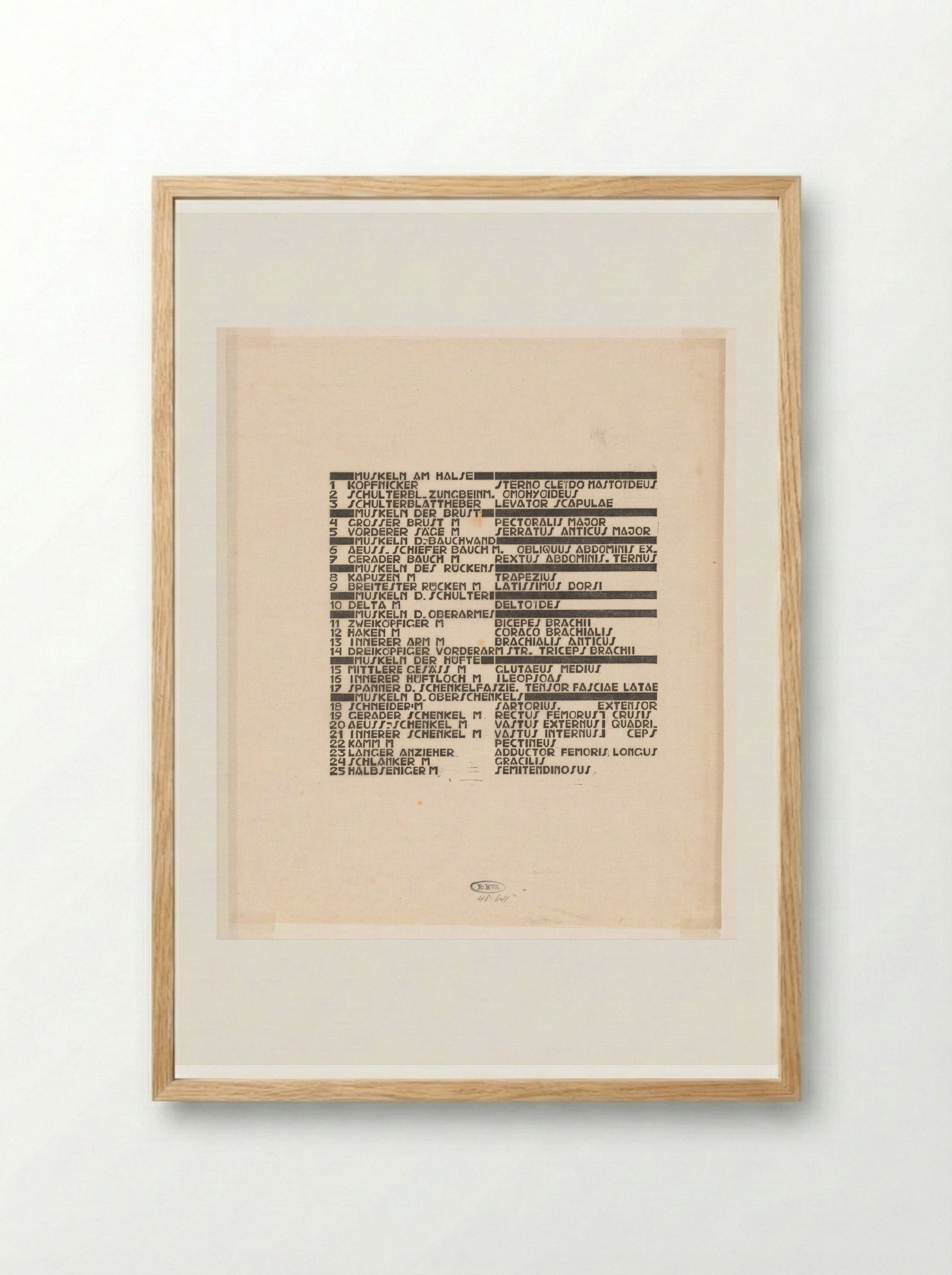 Lijst van hals-, buik- en bovenbeenspieren in Duits en Latijn - Reijer Stolk - Framed Print Wood