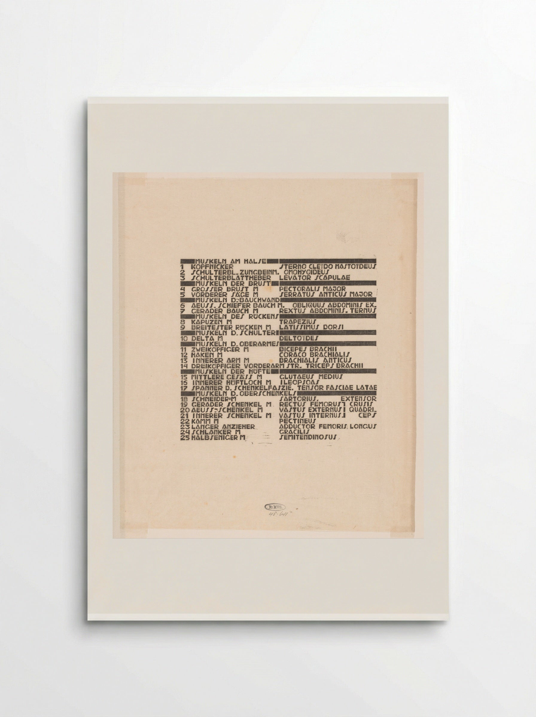 Lijst van hals-, buik- en bovenbeenspieren in Duits en Latijn - Reijer Stolk - Poster