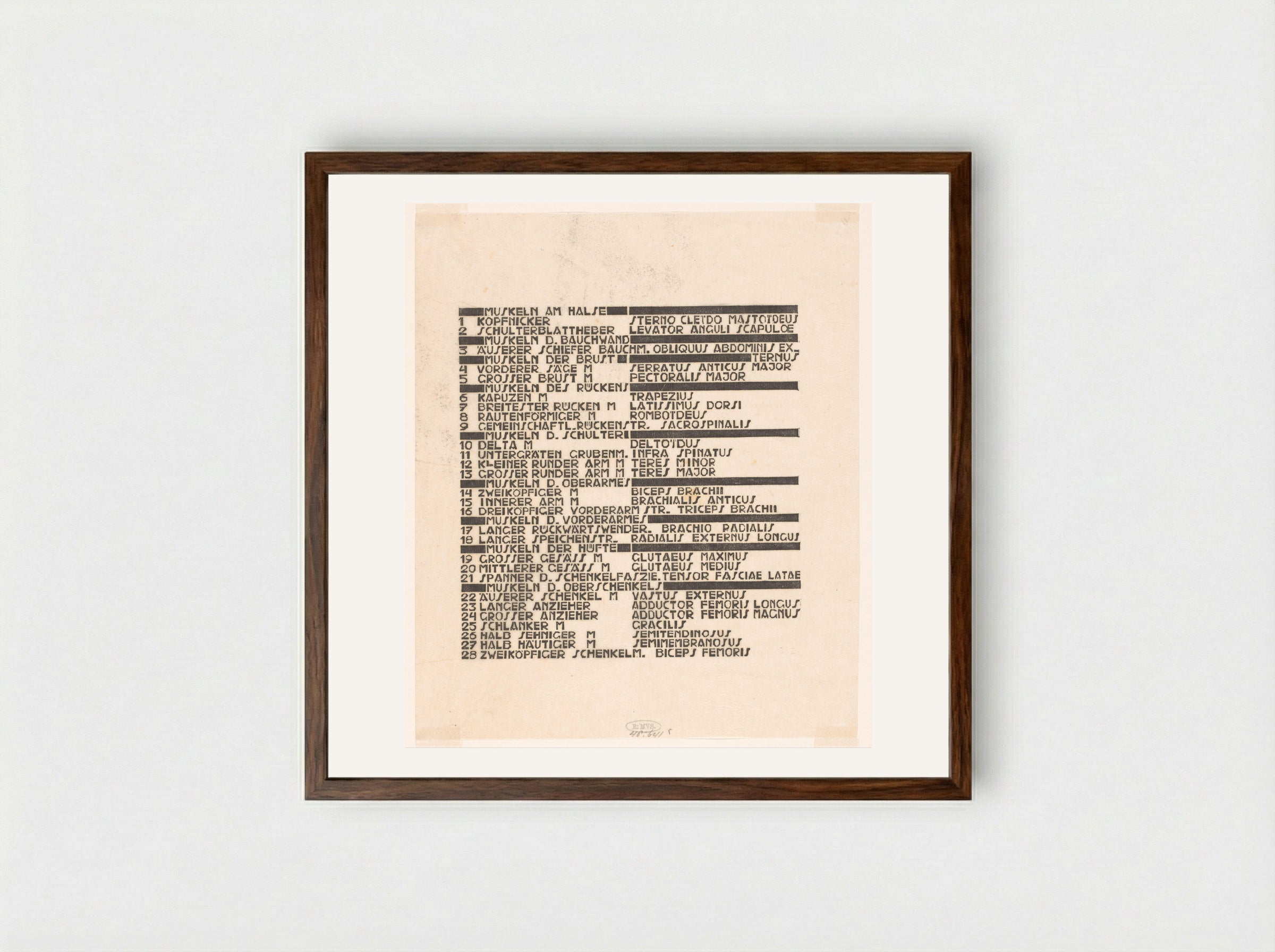 Lijst van hals-, rug- en bilspieren in Duits en Latijn - Reijer Stolk - Framed Print Dark Wood