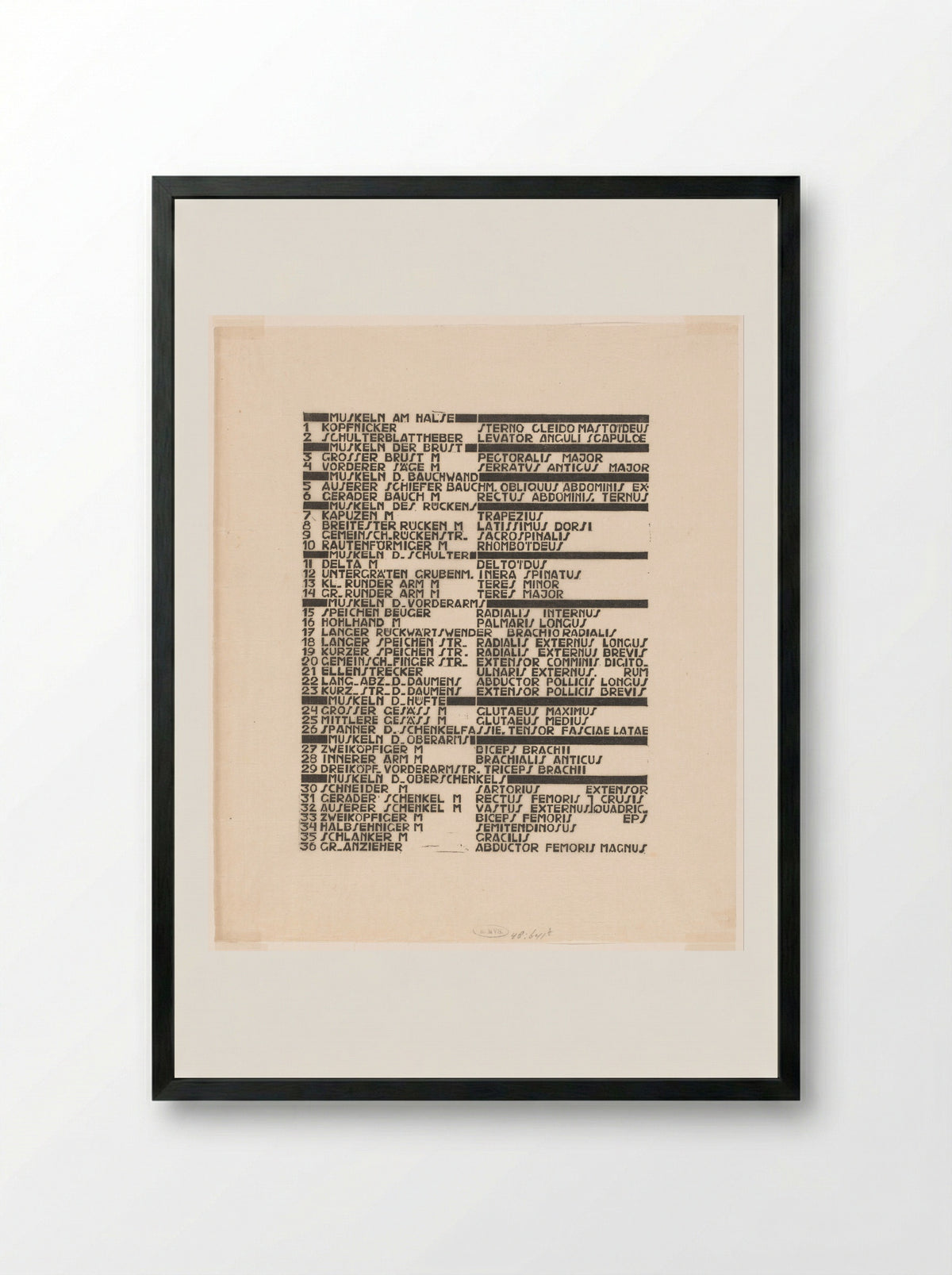 Lijst van rug-, arm- en bilspieren in Duits en Latijn - Reijer Stolk - Framed Print Black