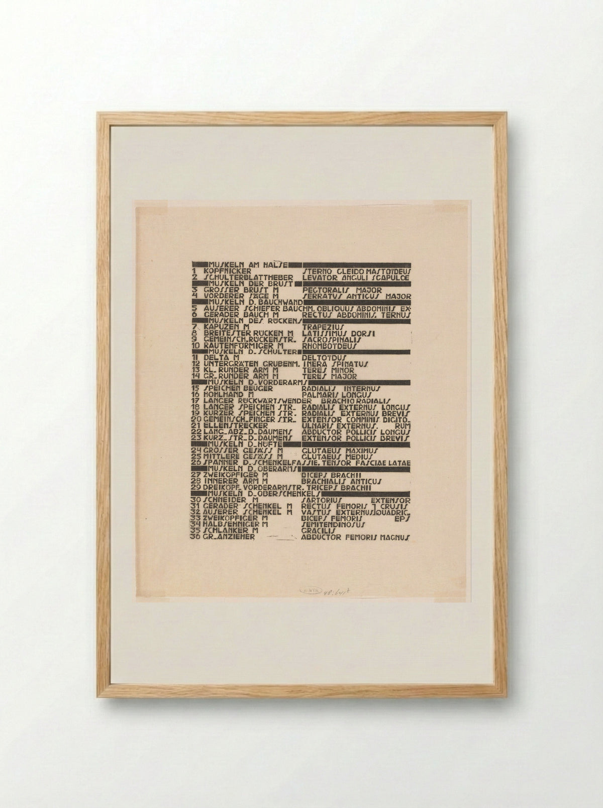 Lijst van rug-, arm- en bilspieren in Duits en Latijn - Reijer Stolk - Framed Print Wood