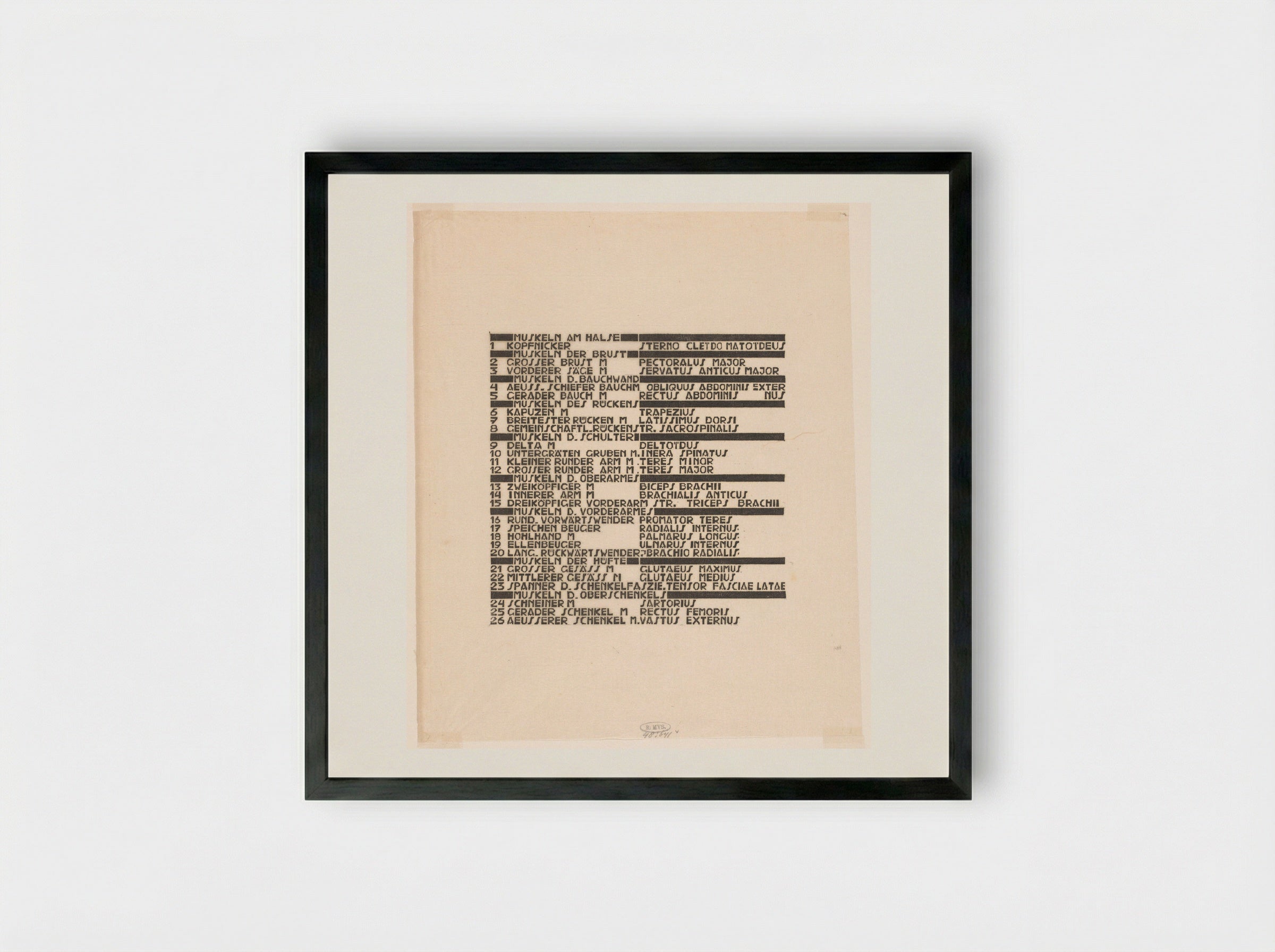 Lijst van rug- en armspieren in Duits en Latijn - Reijer Stolk - Framed Print Black