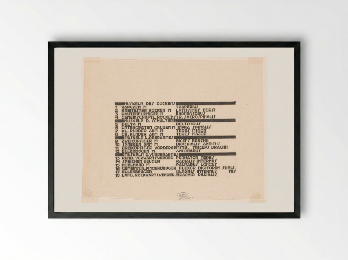 Lijst van rugspieren in Duits en Latijn - Reijer Stolk - Framed Print Black