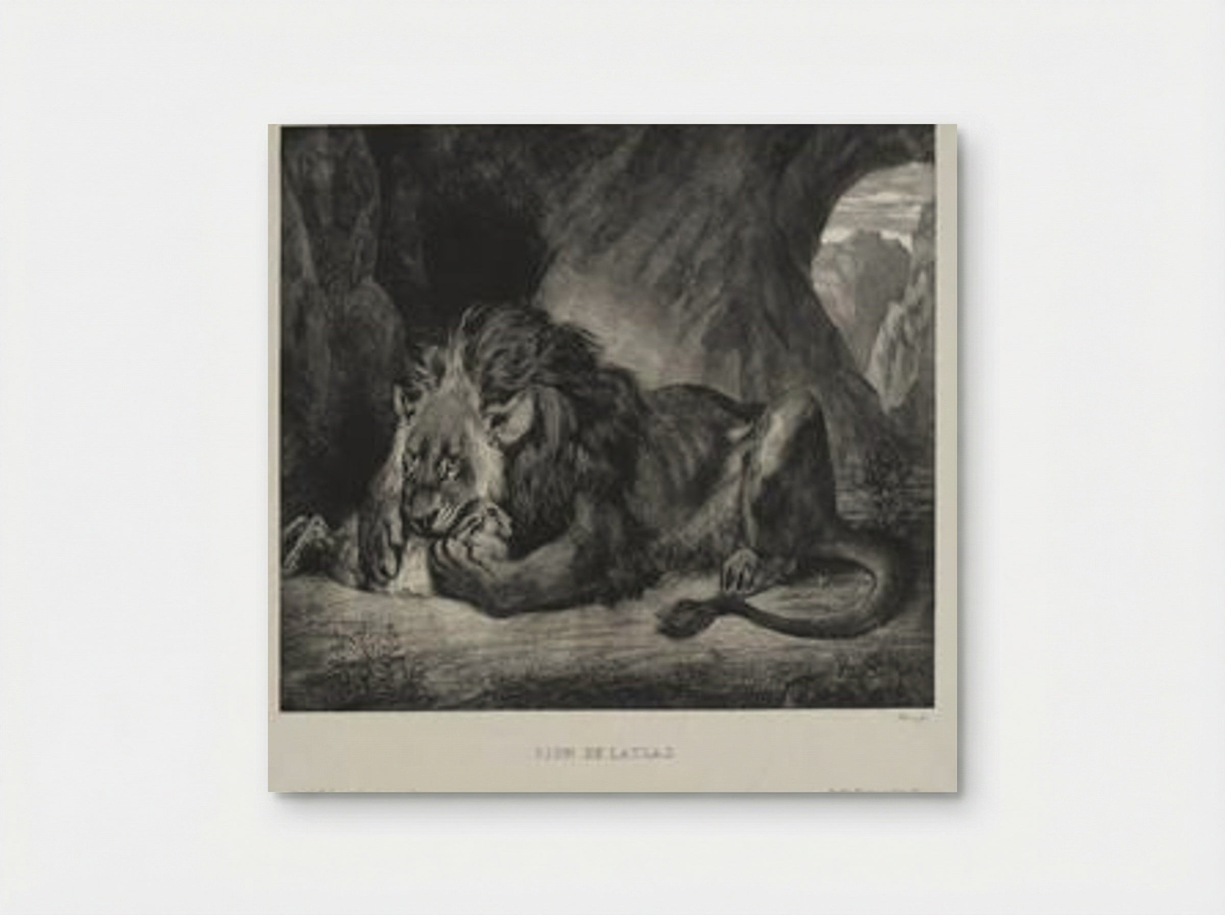 Lion of the Atlas - Eugène Delacroix - Poster