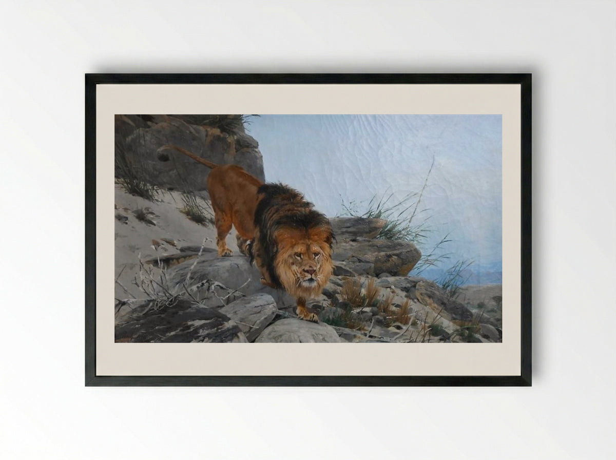 Lion - Richard Friese - Framed Print Black