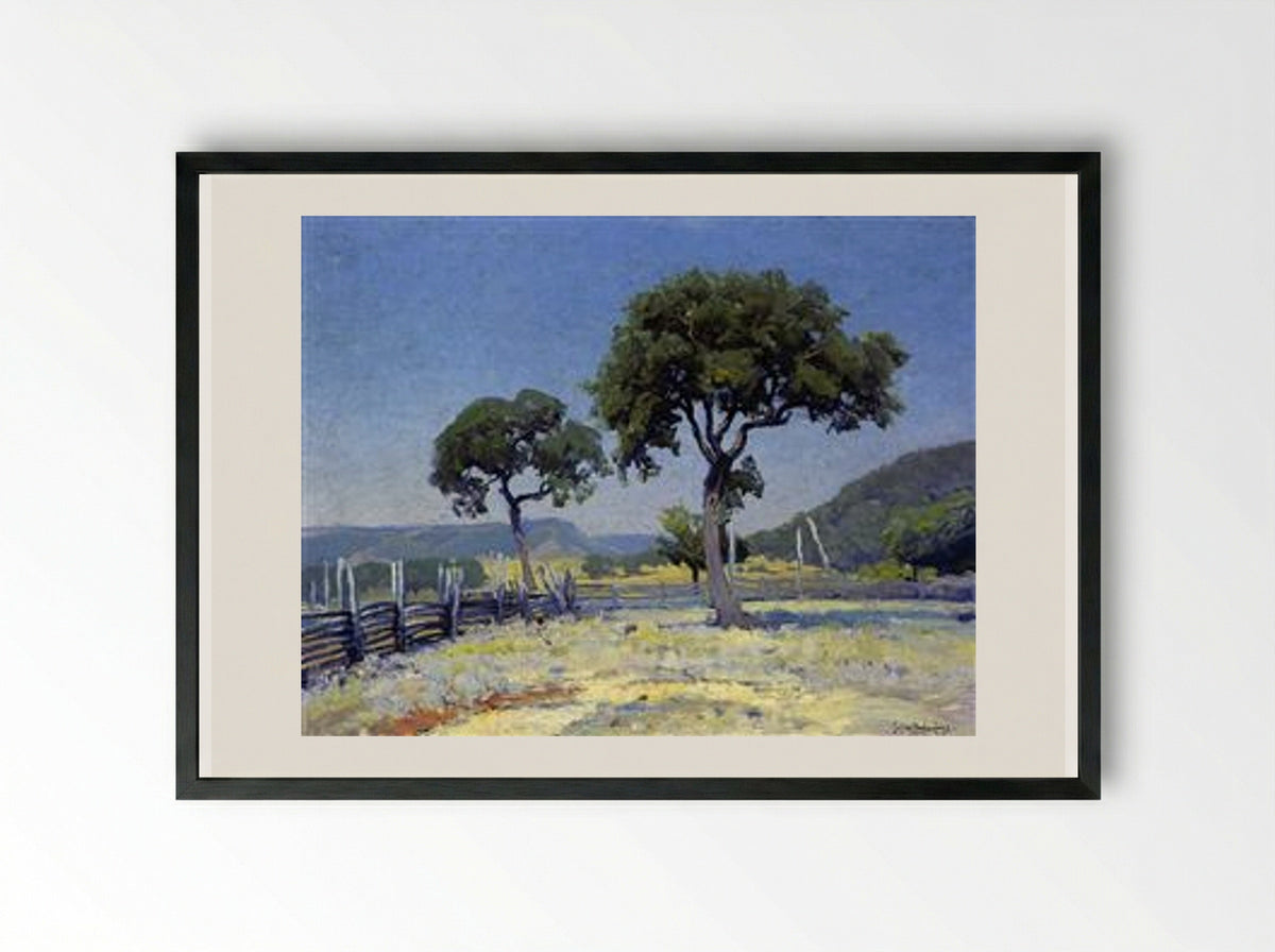 Live Oak Trees on Williams' Ranch, Bandera County - Robert Julian Onderdonk - Framed Print Black