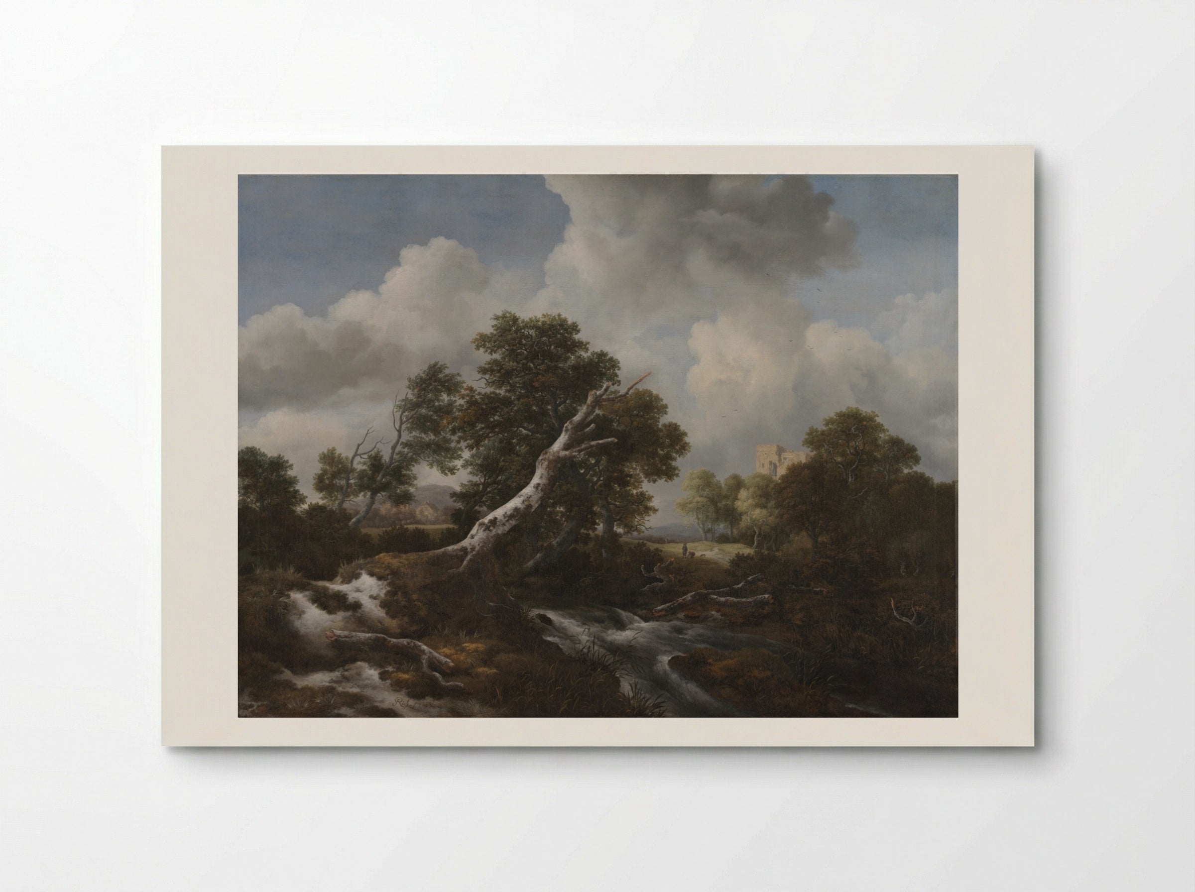 Low Waterfall in a Wooded Landscape with a Dead Beech Tree - Jacob van Ruisdael - Poster
