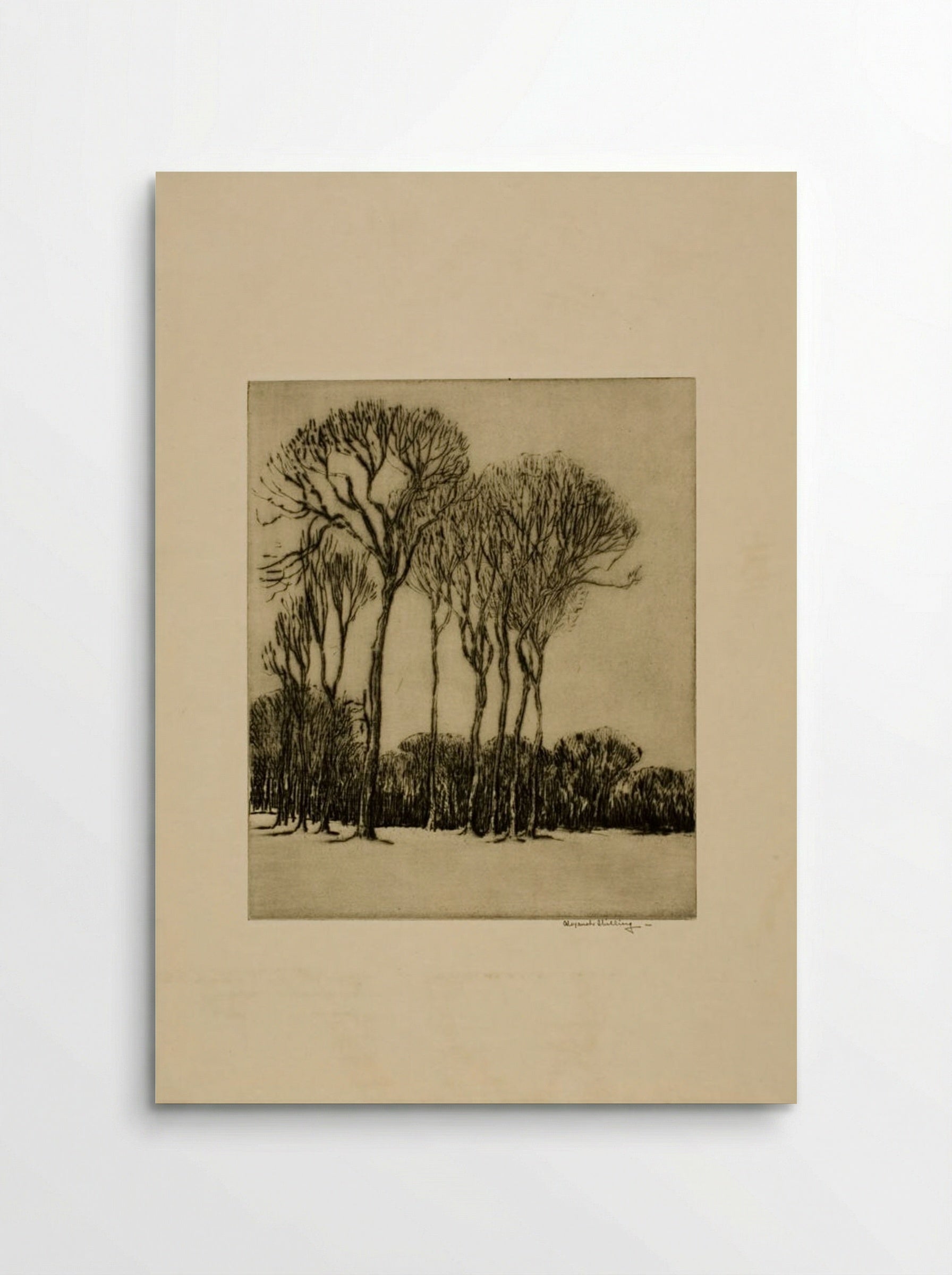 Maas, Near Dort - Alexander Shilling - Poster