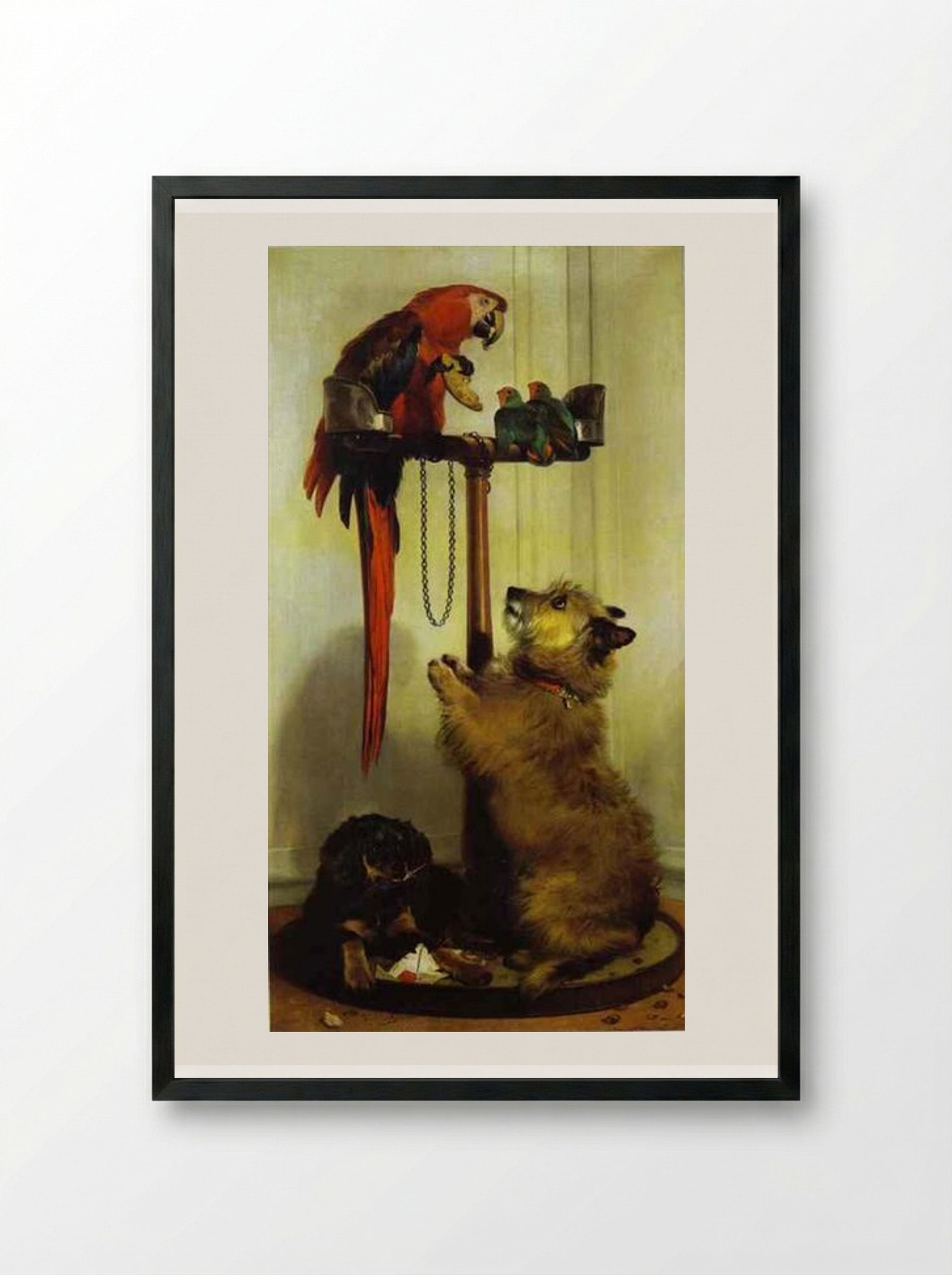 Macaw, Love Birds, Terrier, and Spaniel Puppies, Belonging to Her Majesty - Edwin Henry Landseer - Framed Print Black