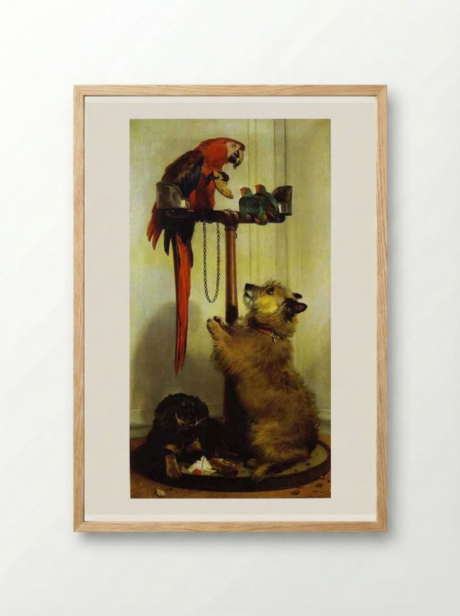 Macaw, Love Birds, Terrier, and Spaniel Puppies, Belonging to Her Majesty - Edwin Henry Landseer - Framed Print Wood