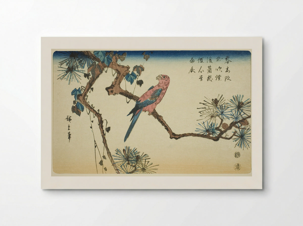 Macaw on Pine Branch - Utagawa Hiroshige - Poster