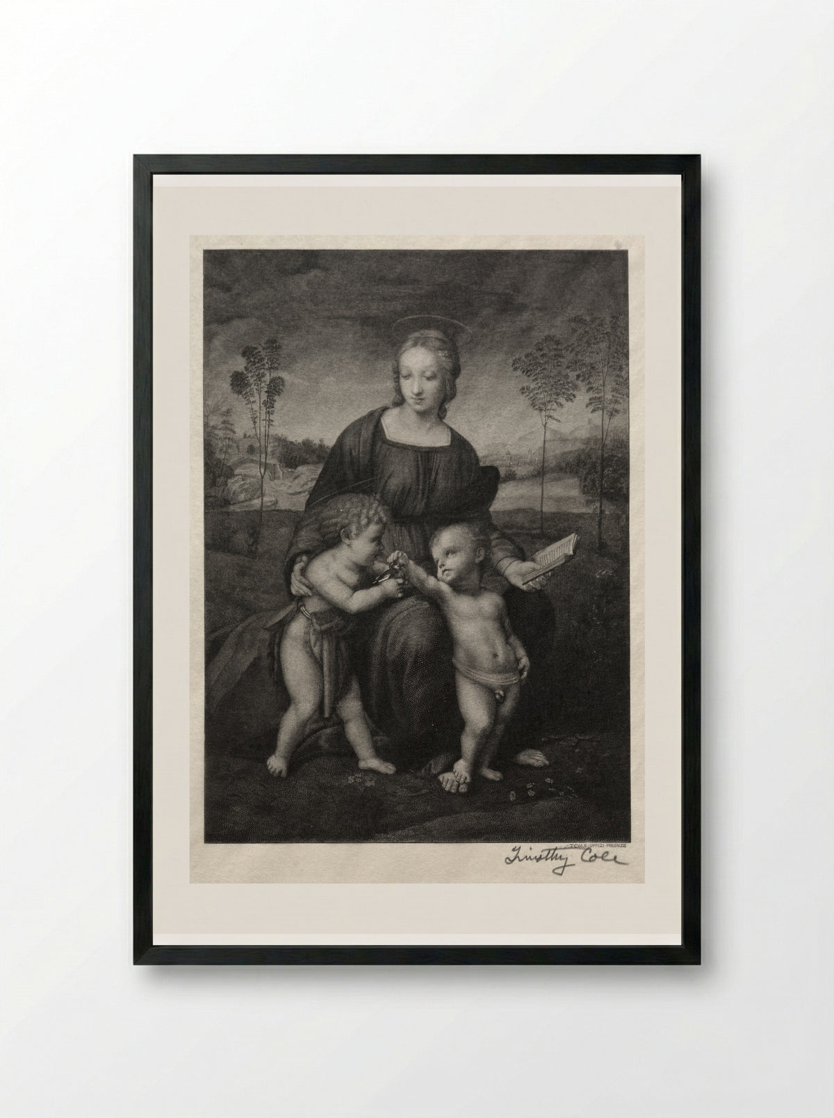 Madonna of the Goldfinch - Timothy Cole - Framed Print Black