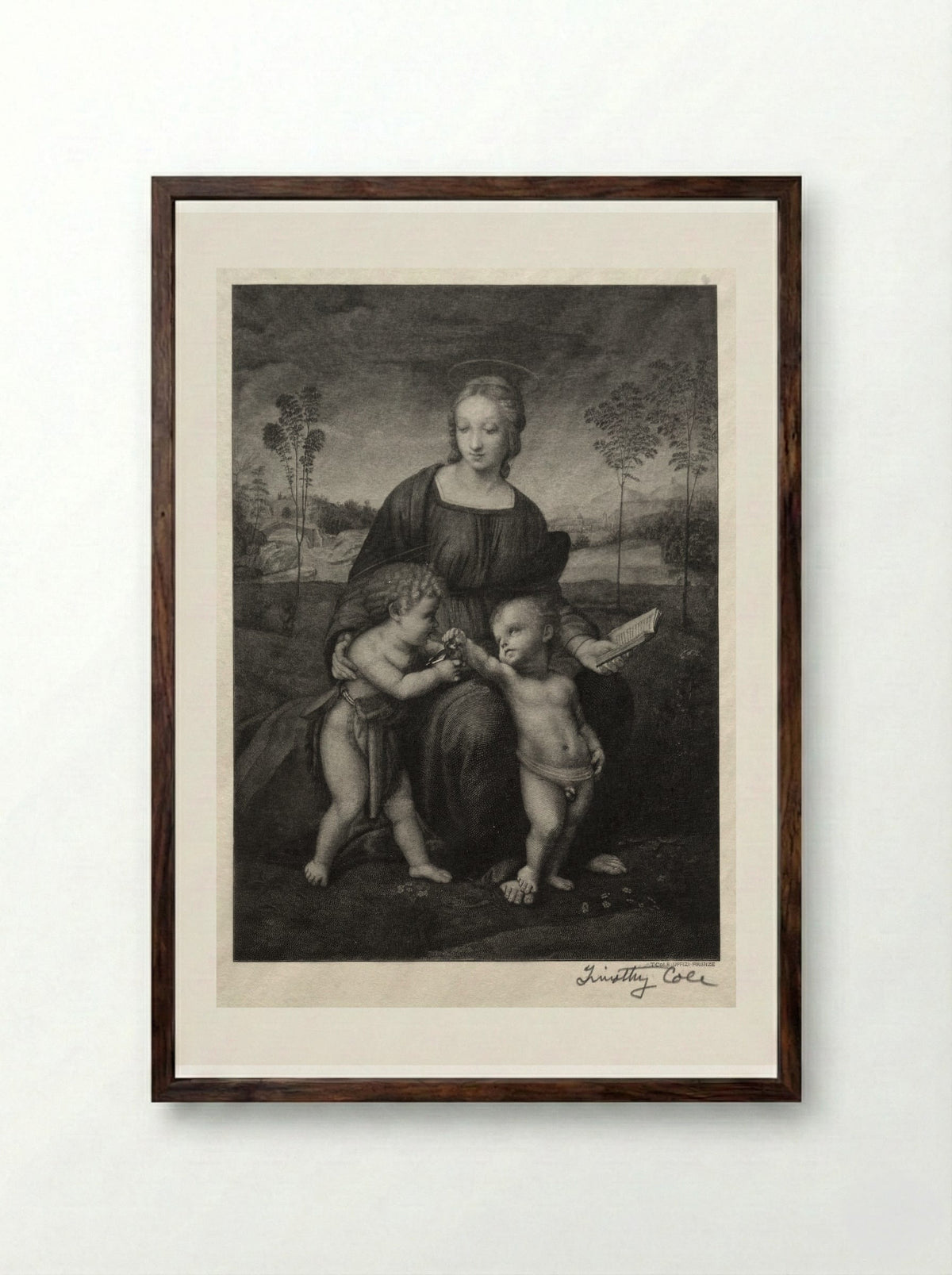 Madonna of the Goldfinch - Timothy Cole - Framed Print Dark Wood